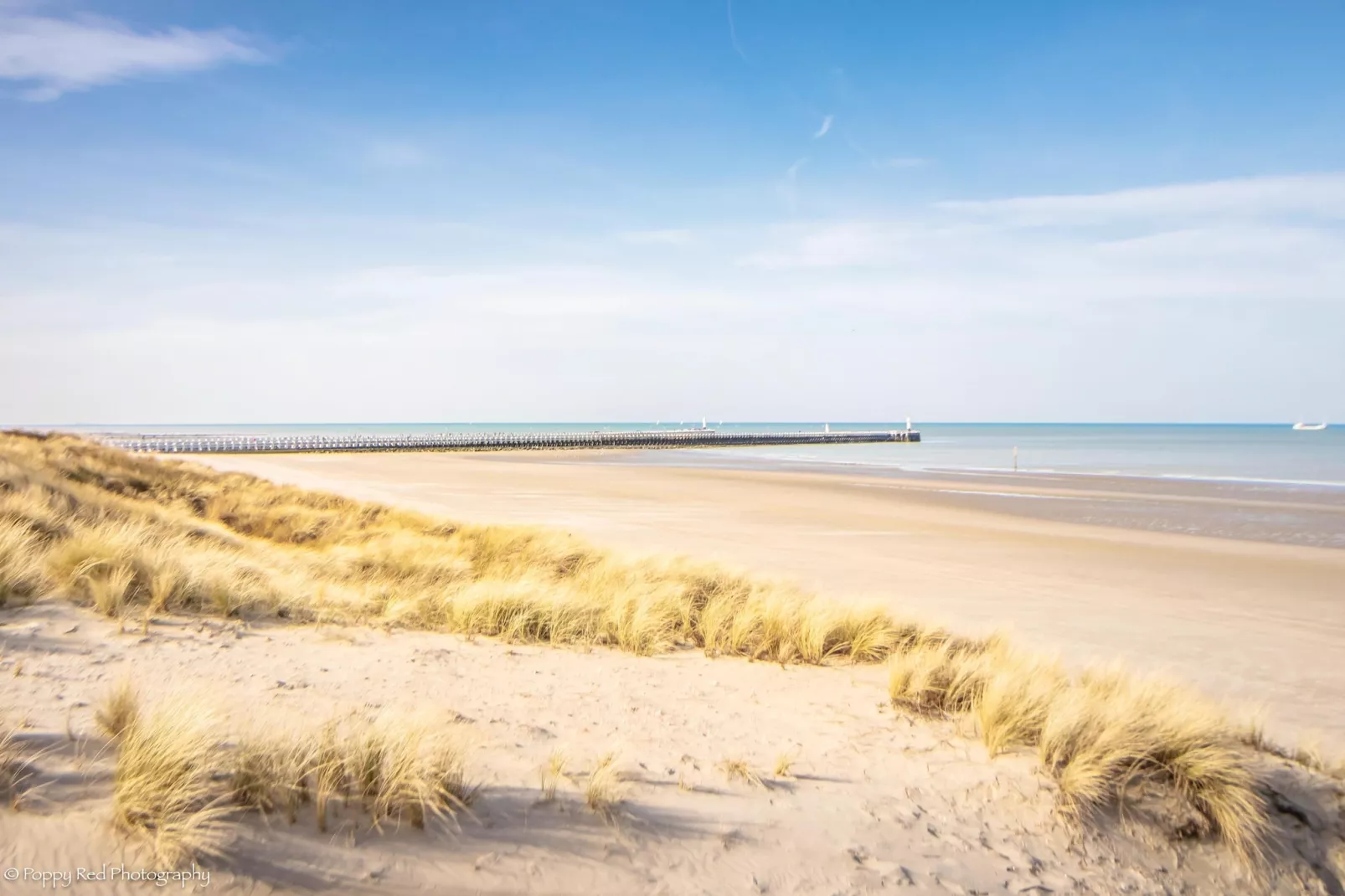 SUNFLOWER 0705GAR-Gebieden zomer 5km