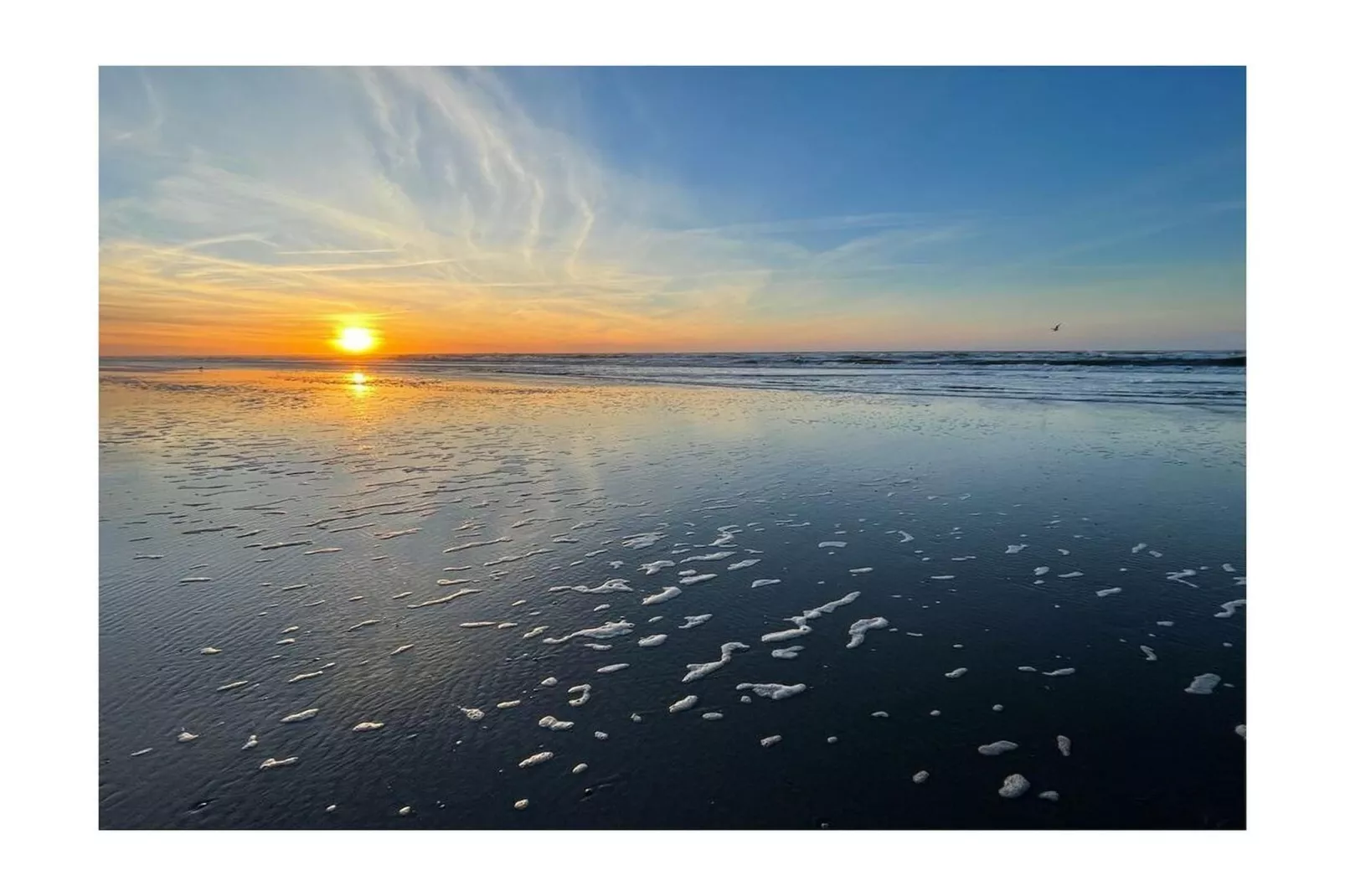 382021-Gebieden zomer 5km