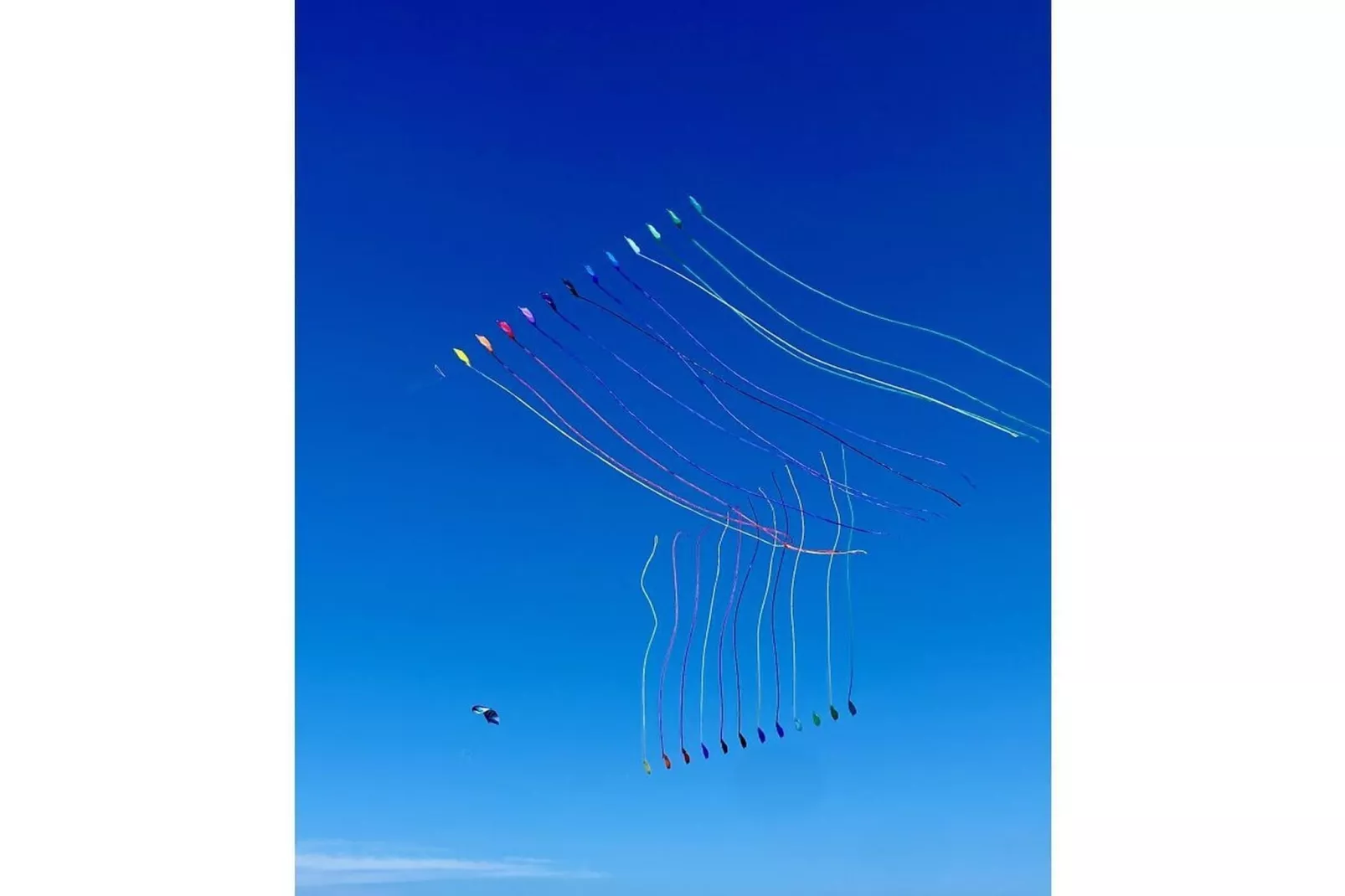 393474-Gebieden zomer 5km