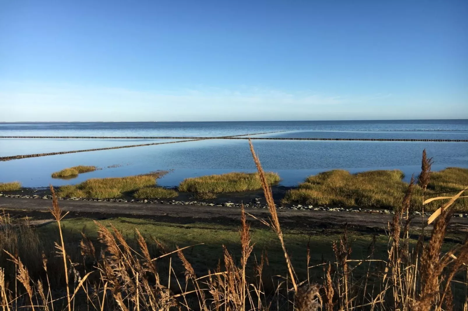 139423-Gebieden zomer 5km