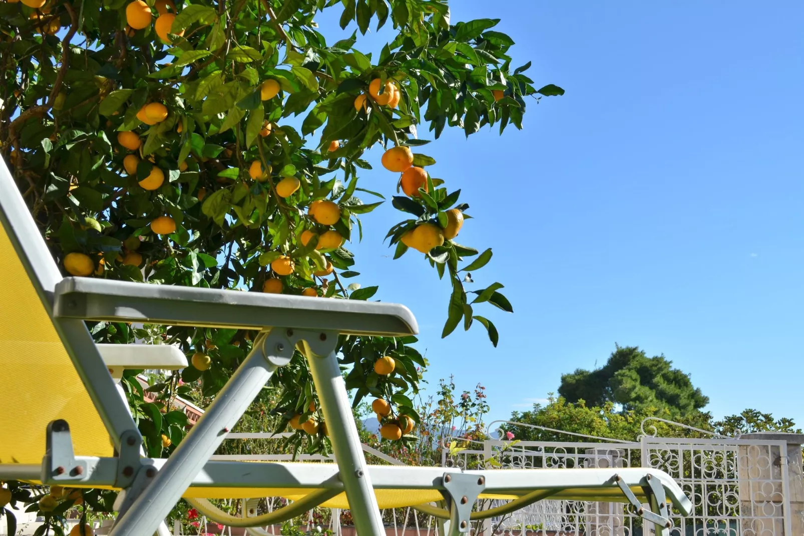 LaidBack Apartments - One Bedroom Apartment with Balcony and Sea View (Lavander) - Terras