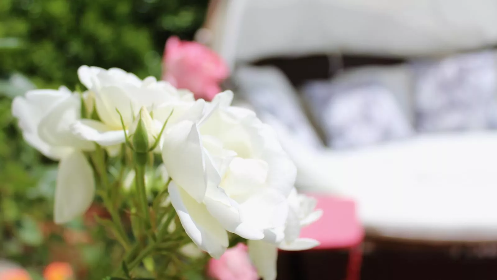 La maison des Vendangeurs 6-Sfeer