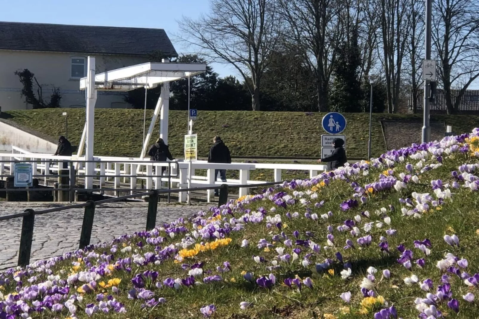 589224-Gebieden zomer 1km