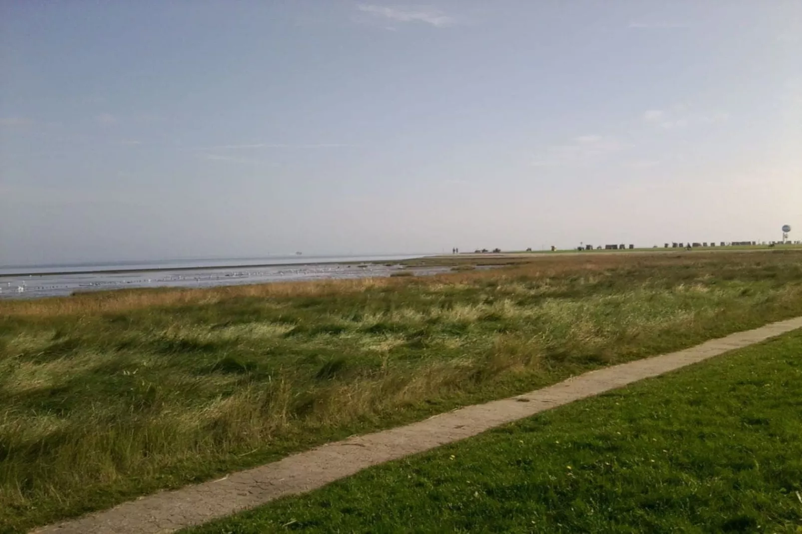 36342 - Image-tags.water view