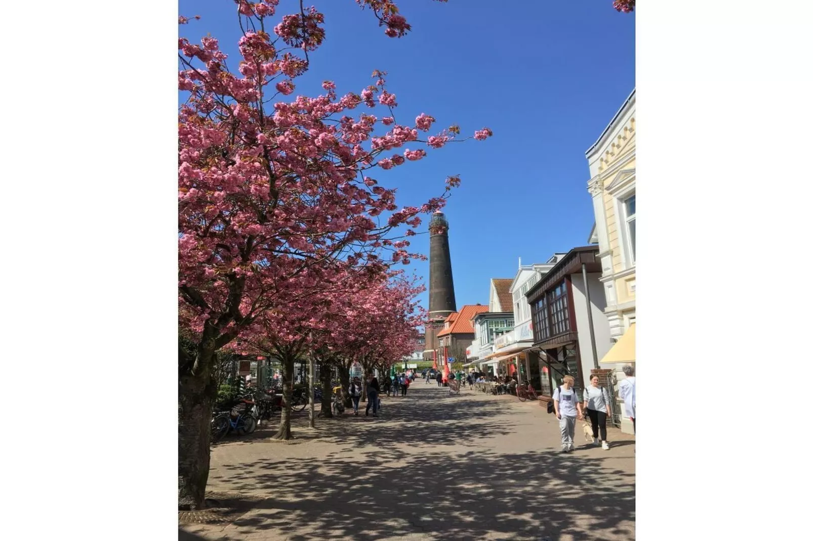 581070 - Gebieden zomer 5km