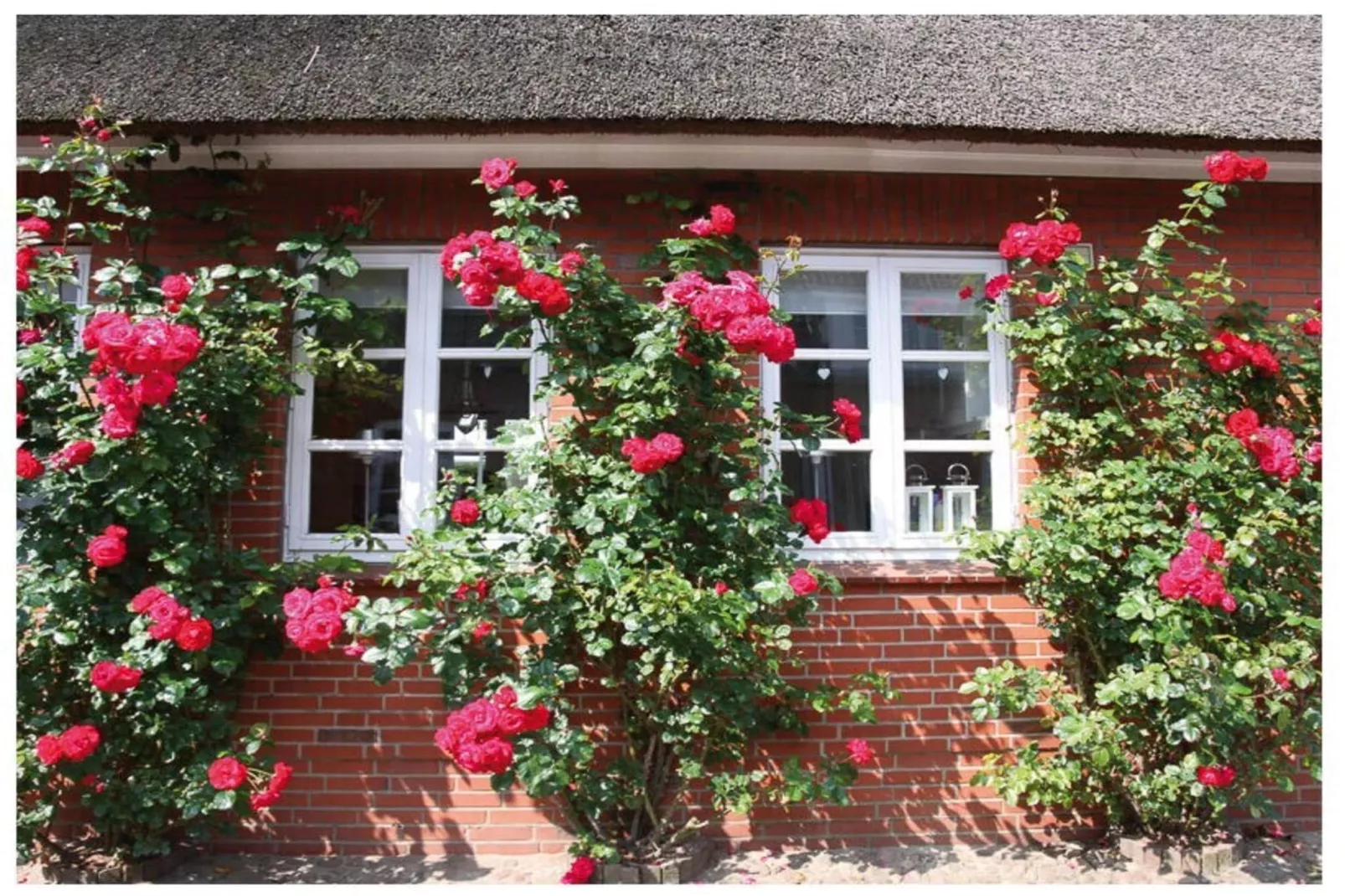 345853-Buitenkant zomer