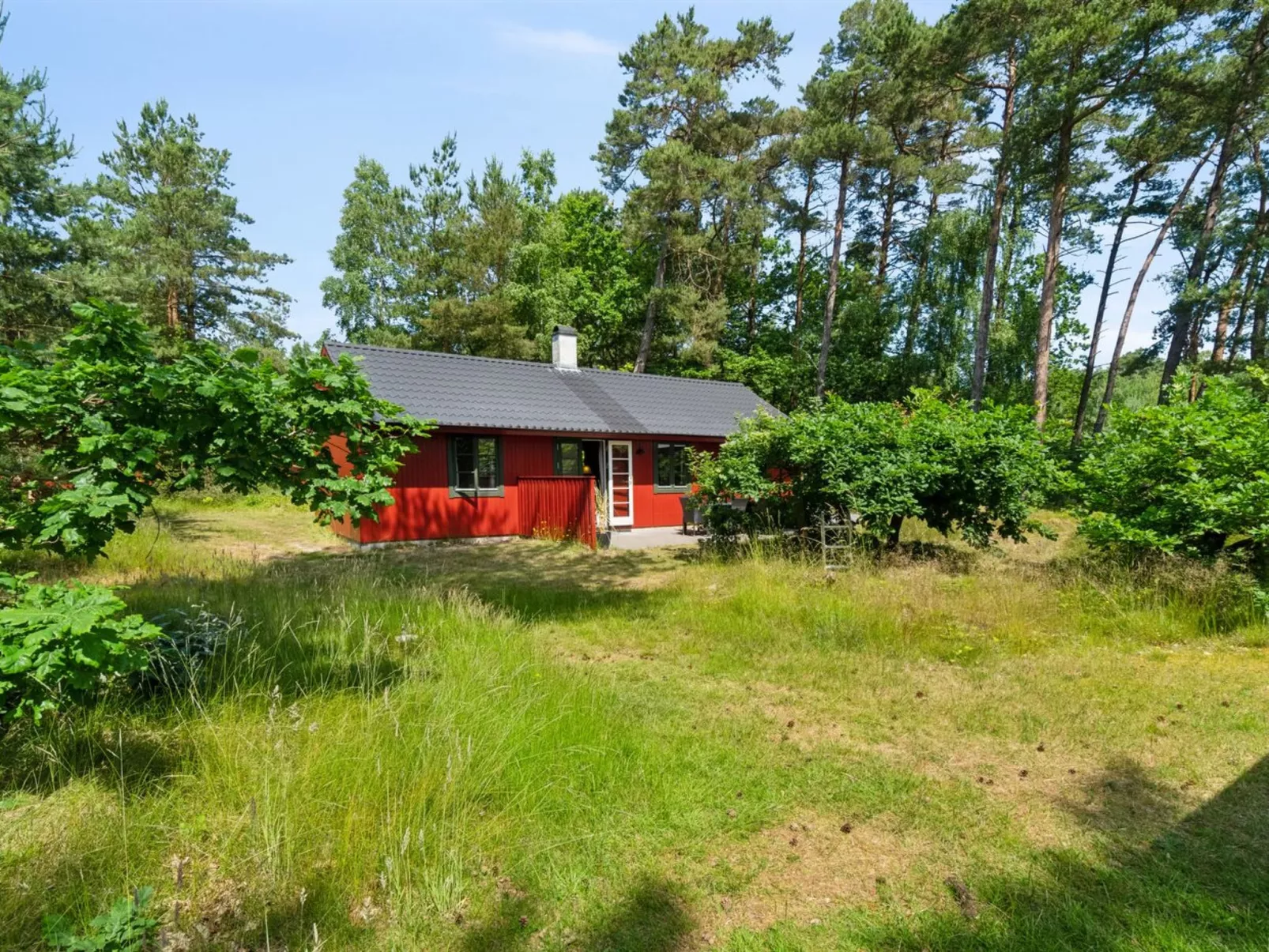 "Wale" - 100m from the sea-Buiten