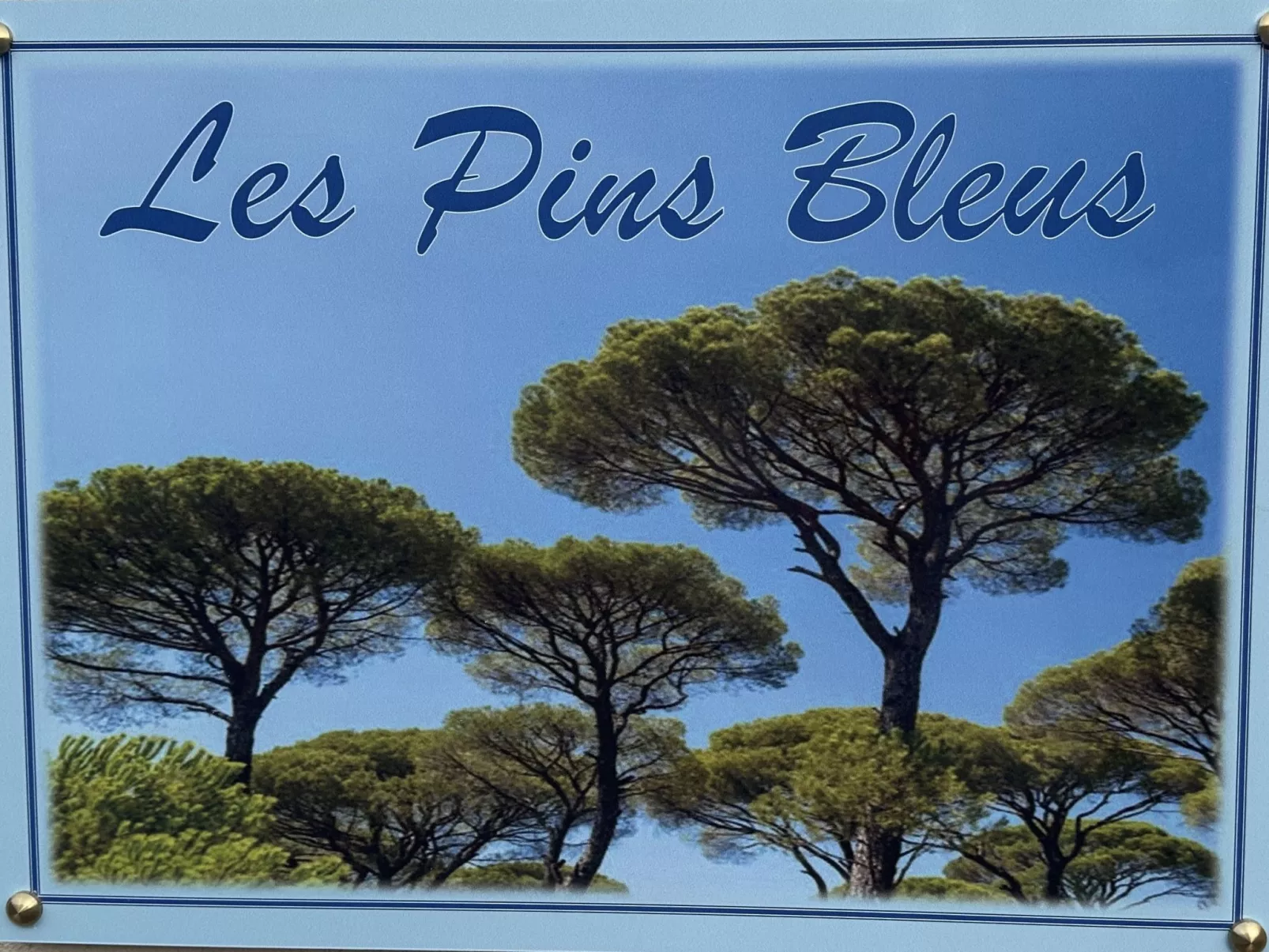 Les Pins Bleus-Binnen