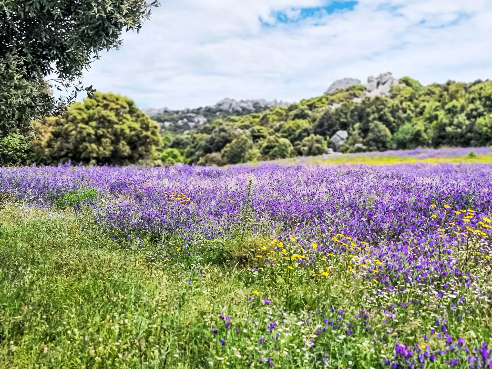 La Casa di Sughero-Binnen
