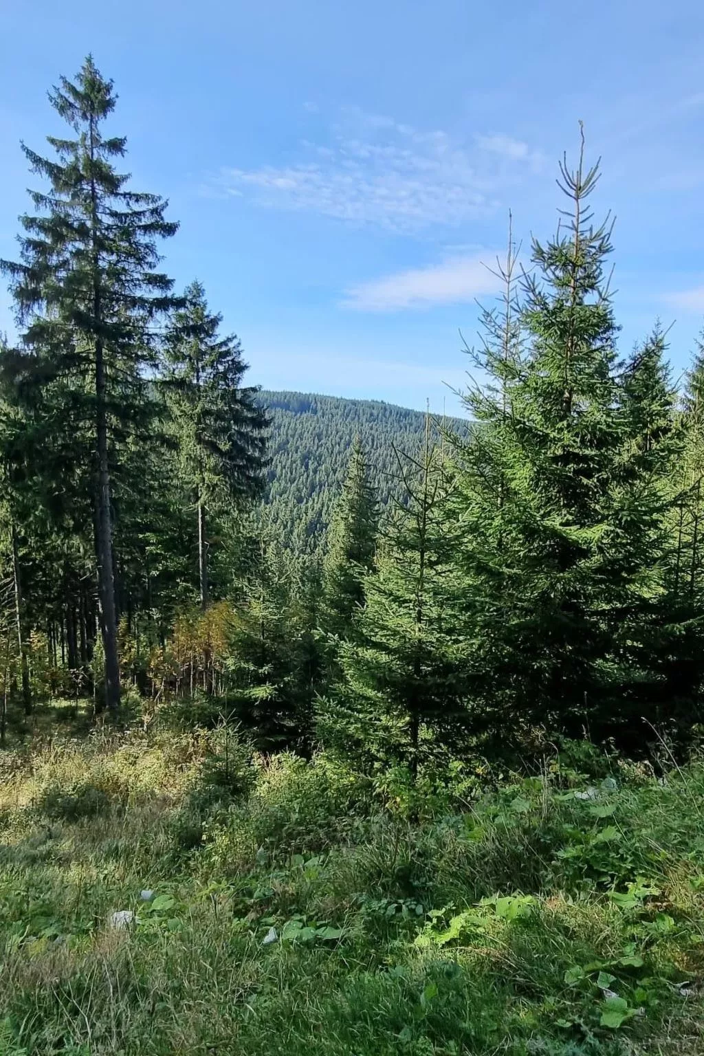 Appartement mit Blick auf das Wasser-Buiten