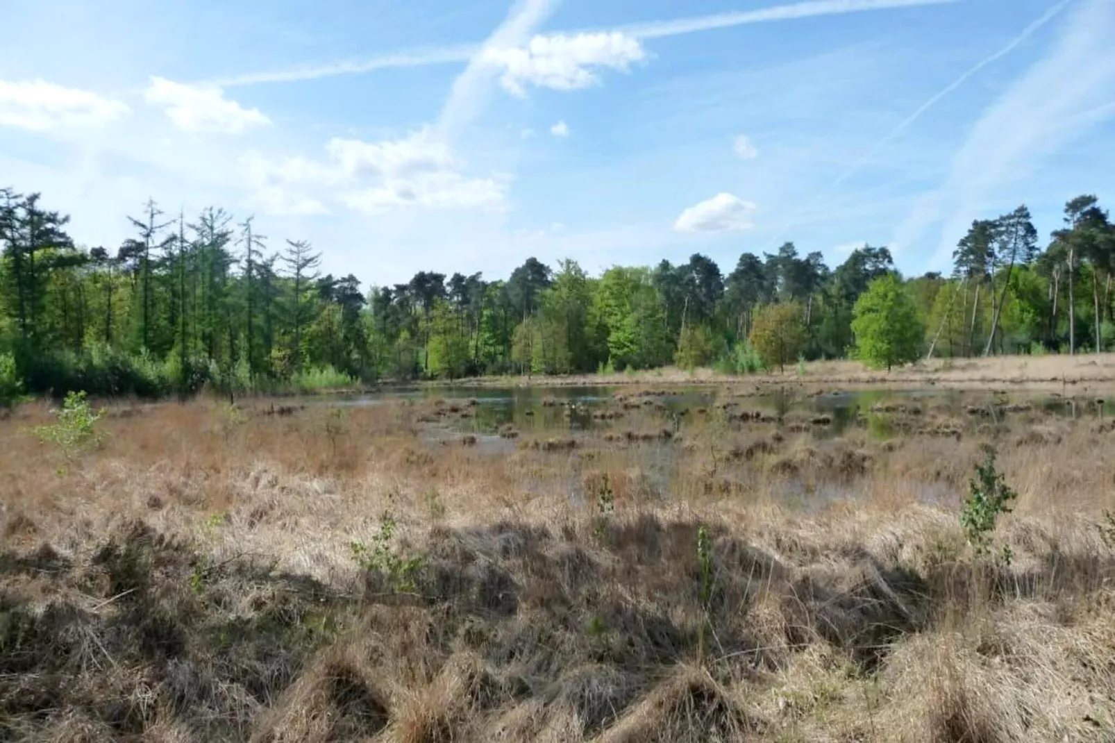 Luxe Lodges-Gebieden zomer 5km