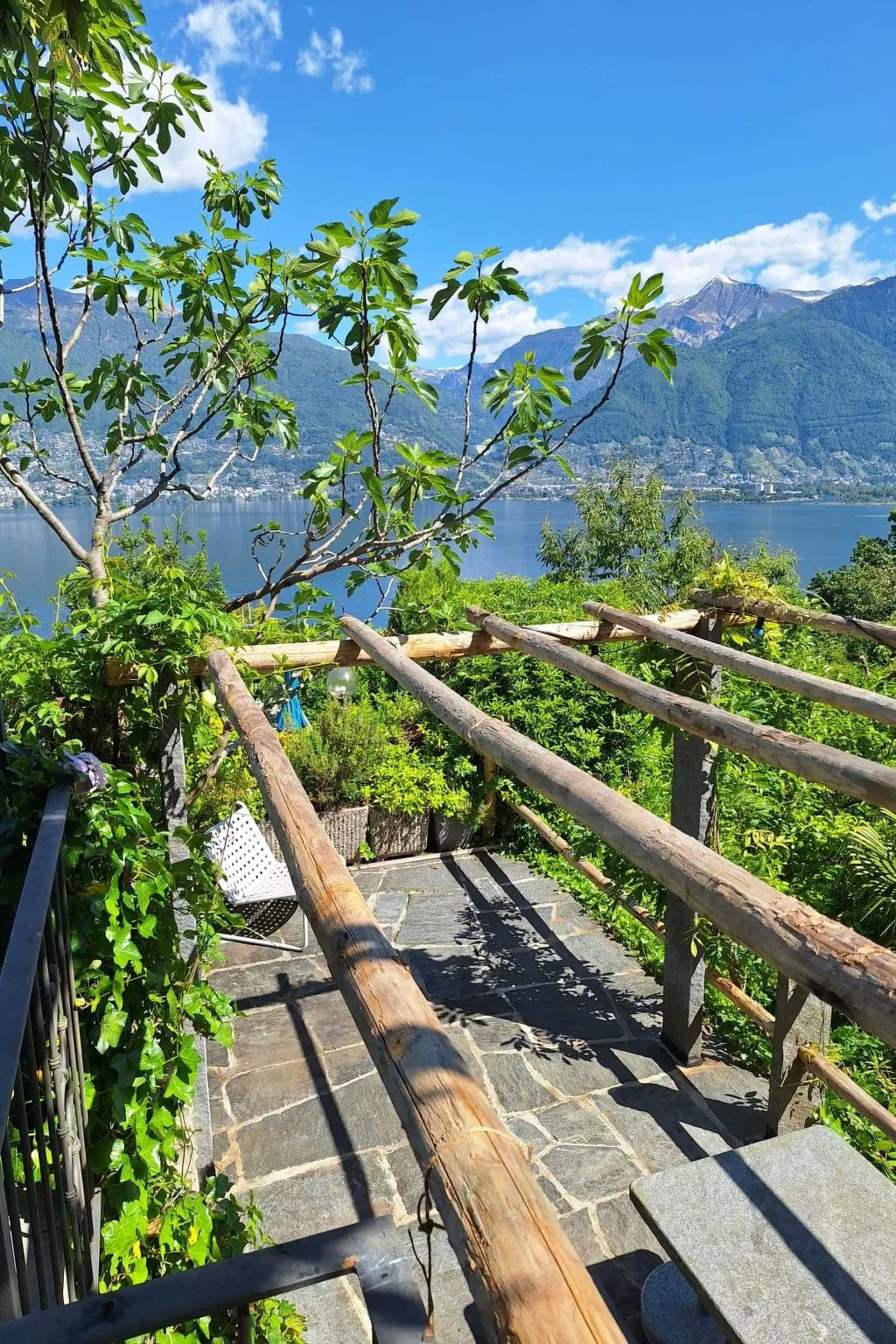 Virabella 8 - Image-tags.info