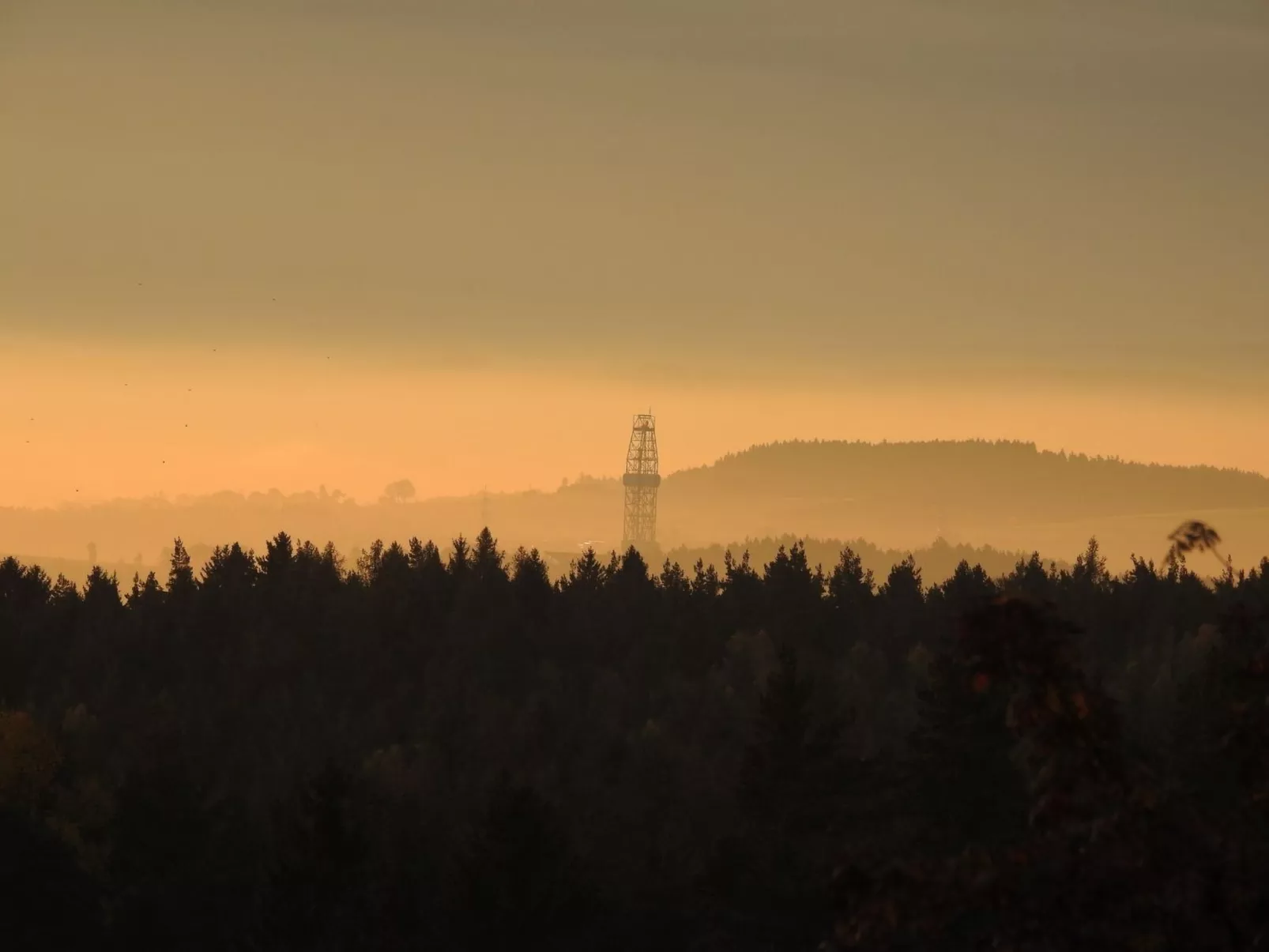 Im Naturpark Steinwald - Image-tags.info