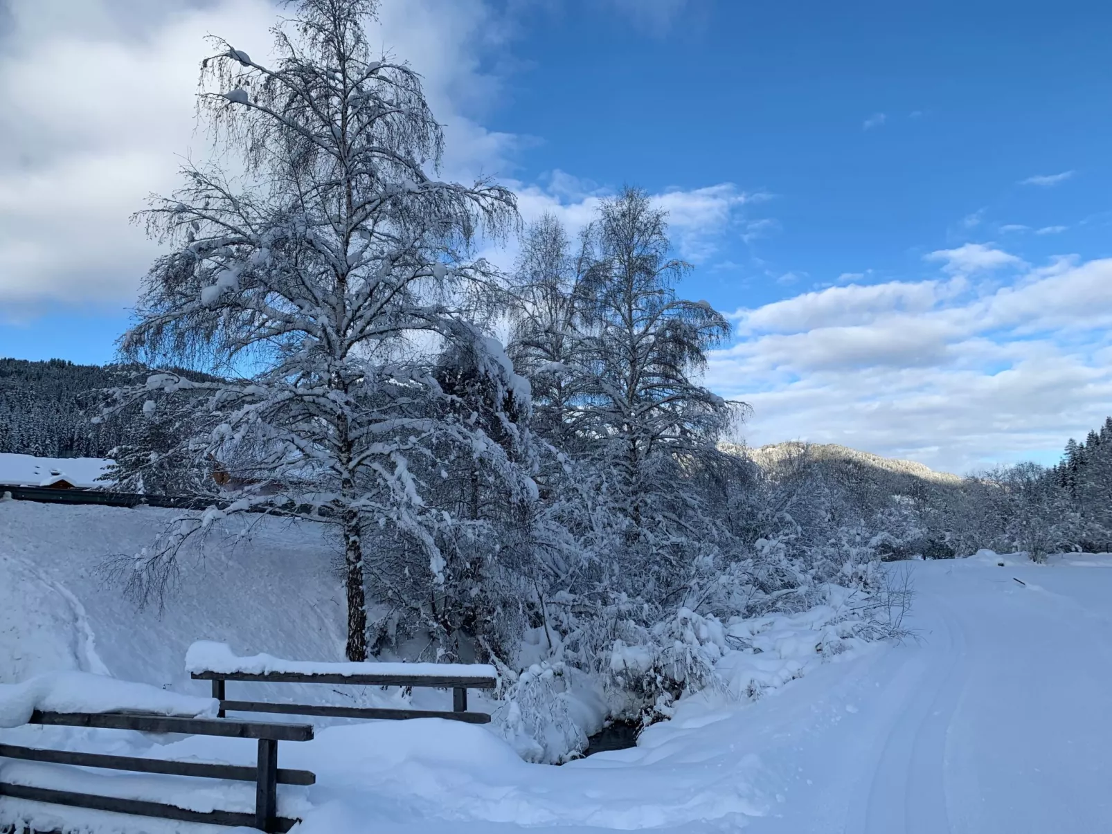 Chalet Elsa Murau - Buiten