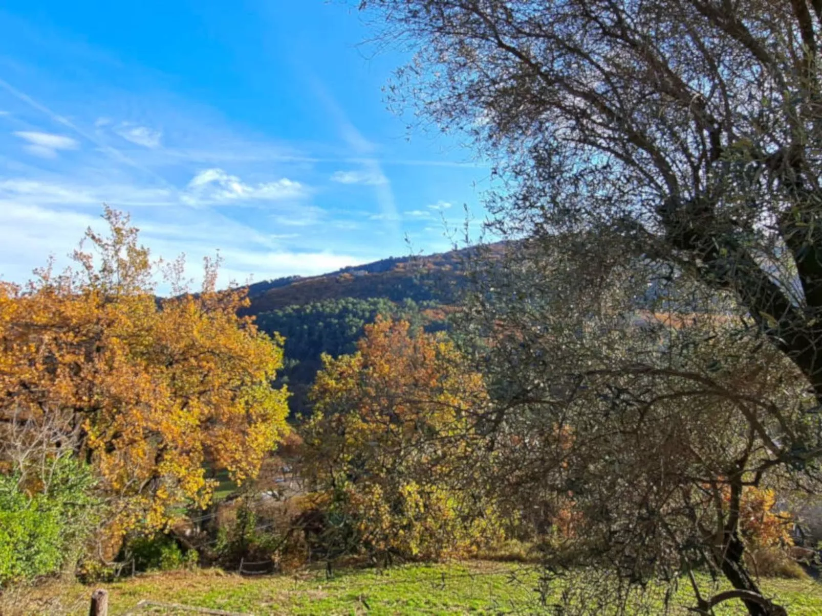 "Maison du Paysan" (Bauernhaus) - Image-tags.info