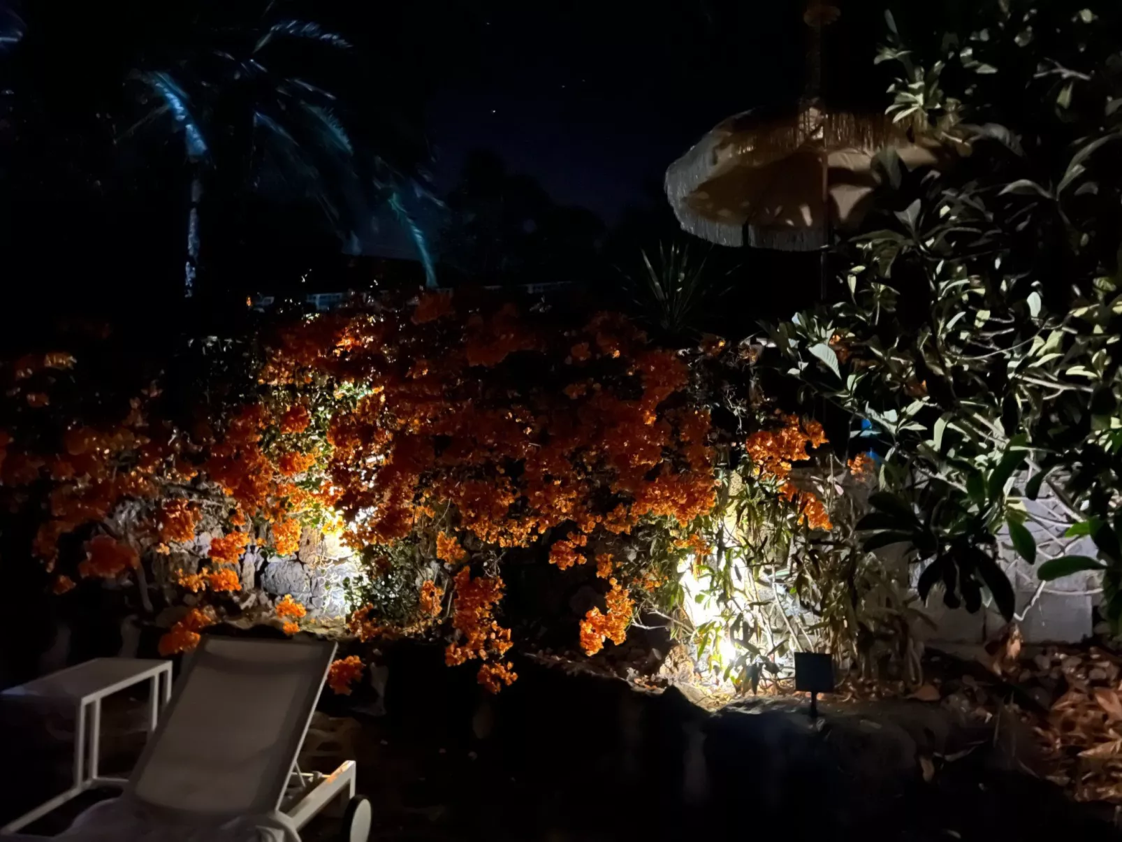 Casa Jardín Tropical - Image-tags.info