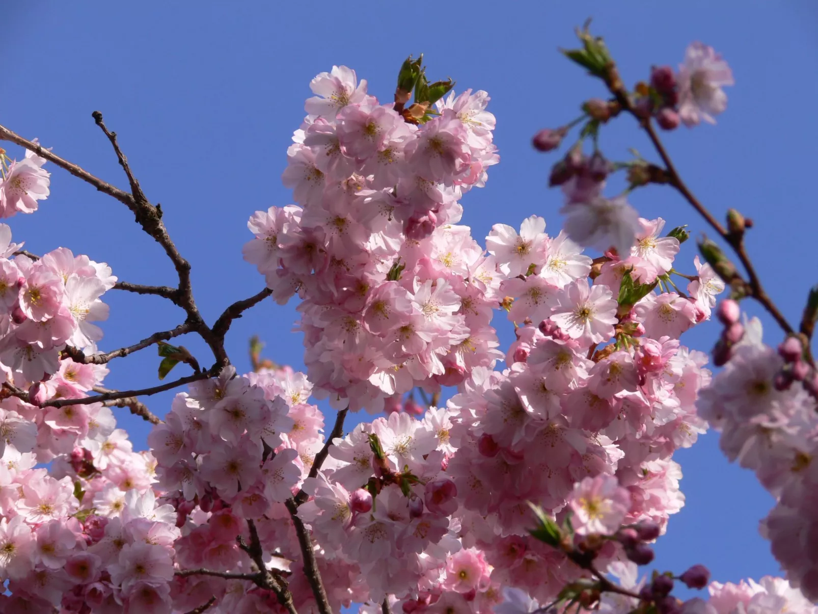 Anspruchsvolle Ferienvilla mit Panoramablick - Image-tags.info