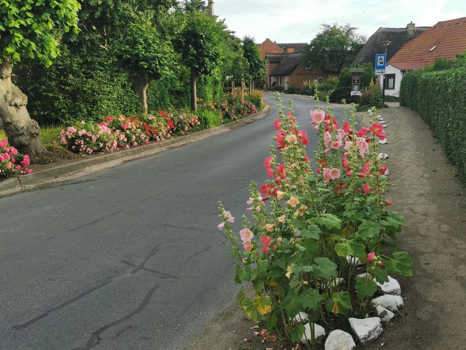 Traumhafte Ferienwohnung im Reetferienhaus - Image-tags.info