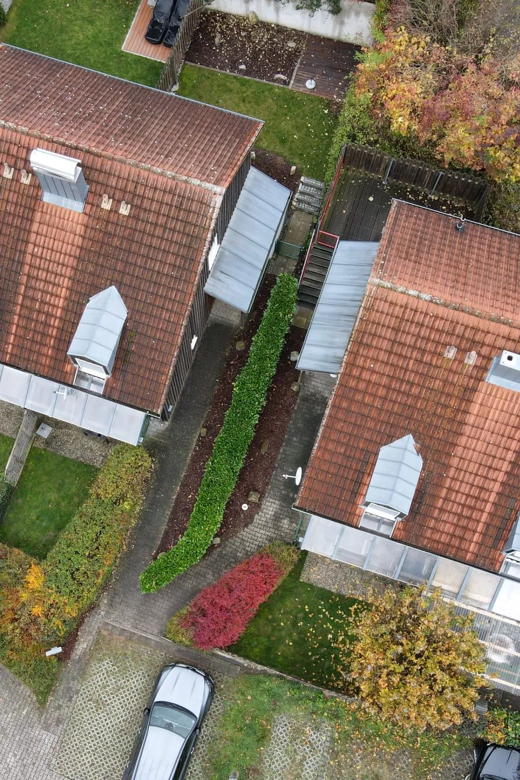 Livi - Image-tags.info