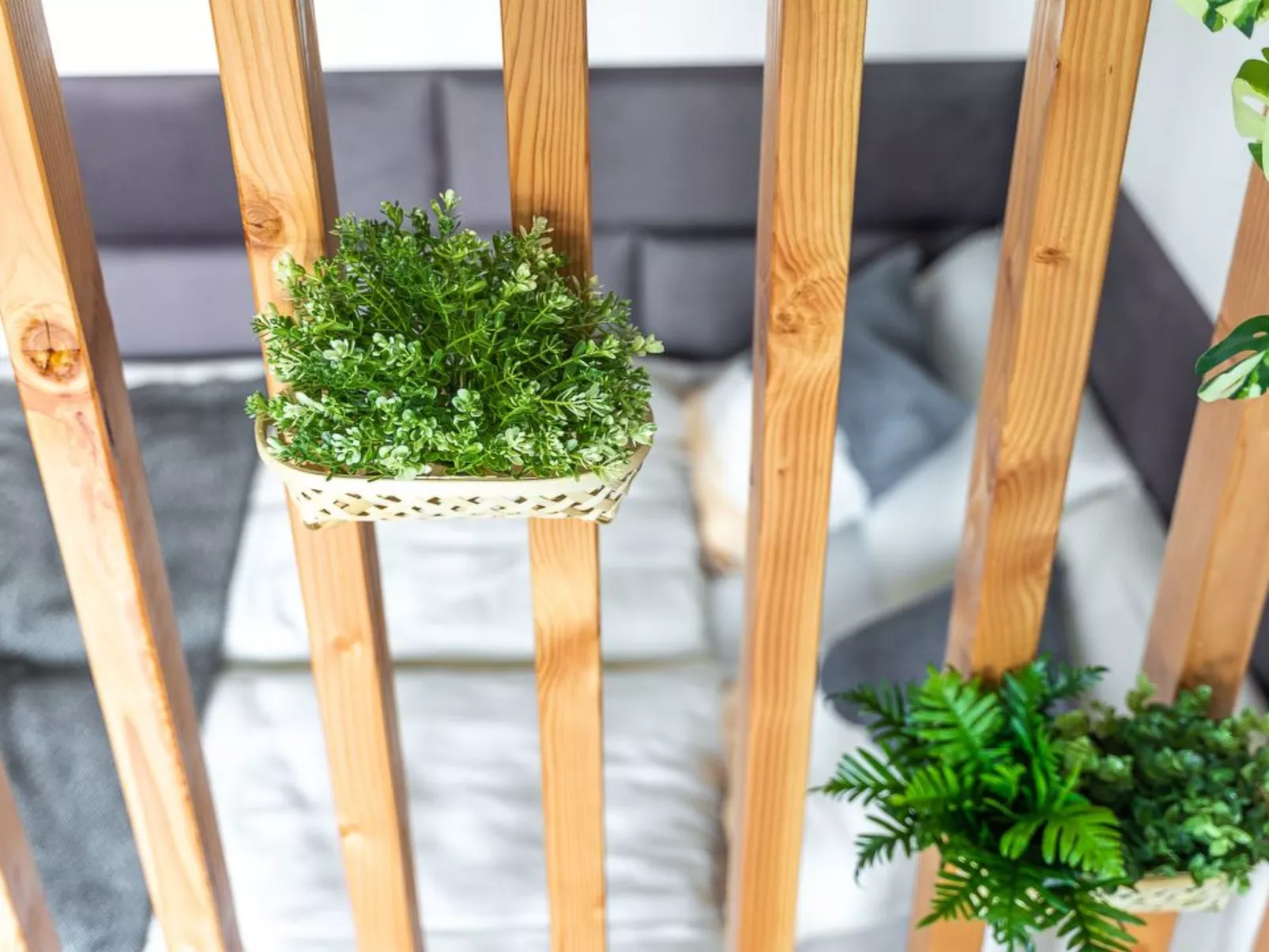 Golden Nugget - Image-tags.info