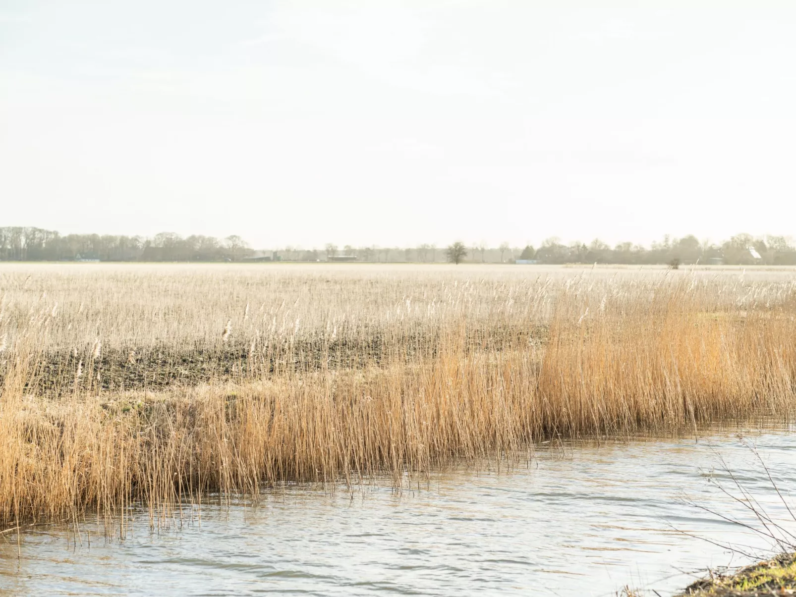 Die entspannteste FeWo an der Nordseeküste - Sauna - Image-tags.info