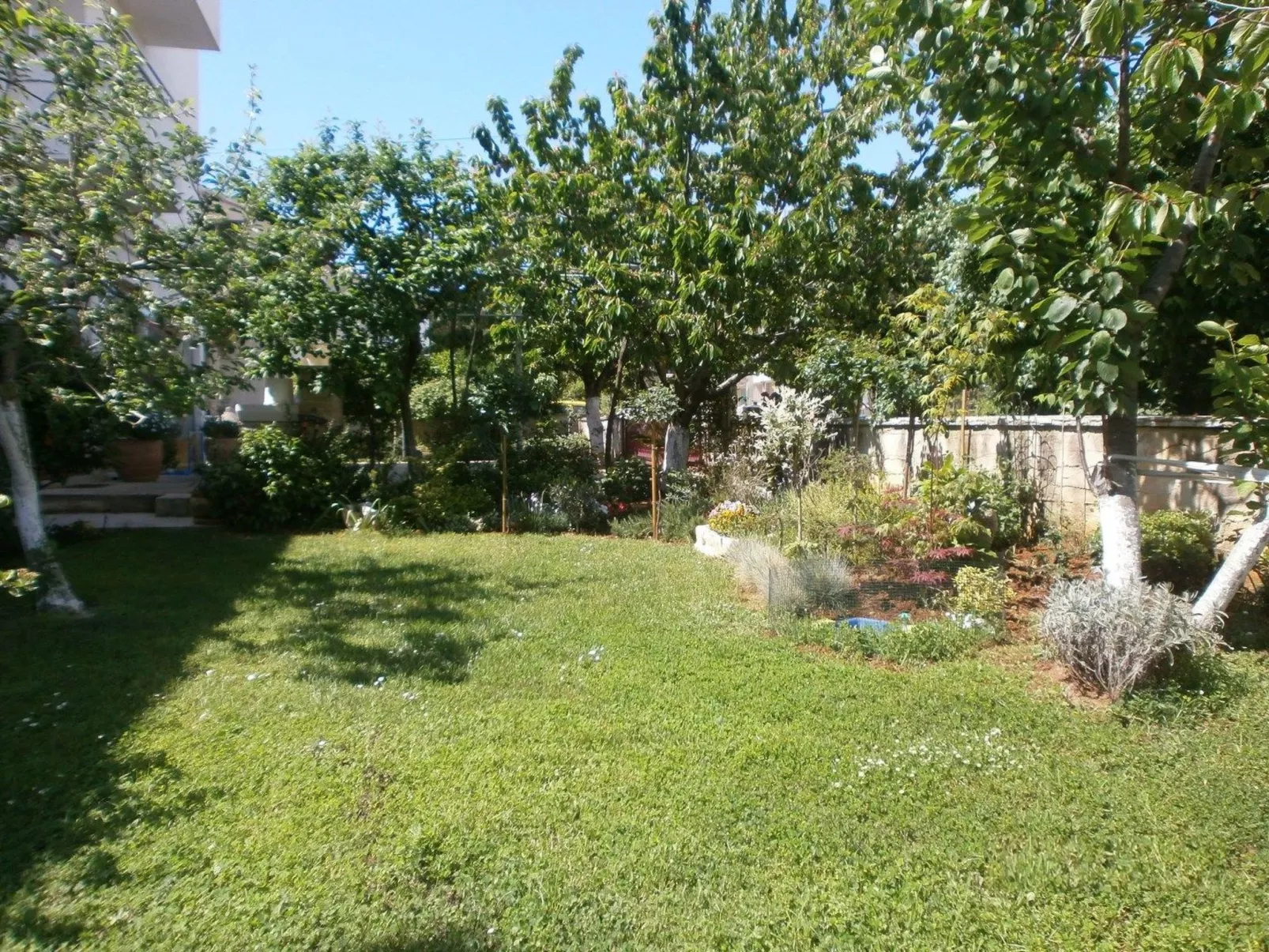 Vrančić - Image-tags.info