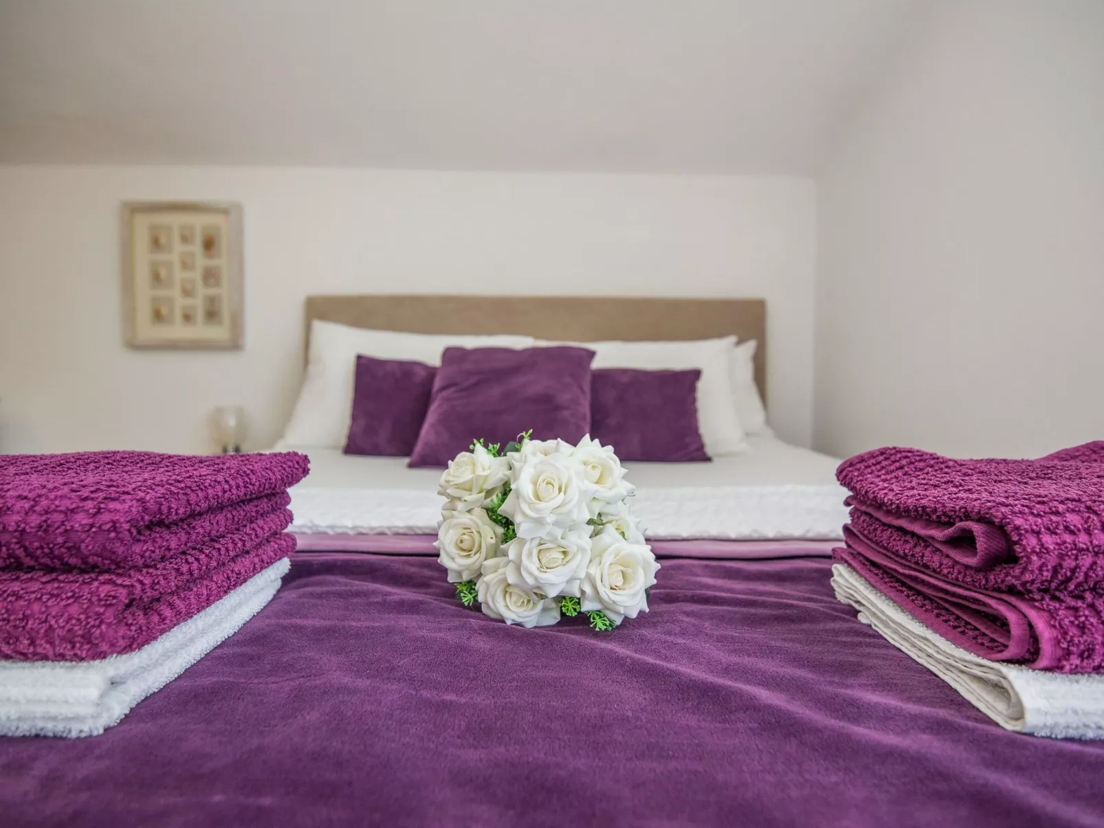 Apartment Kosic 4 - Image-tags.info