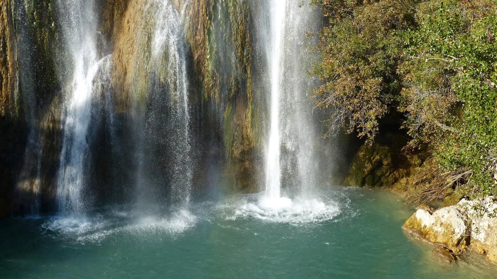 Lomandra - Gebieden zomer 5km
