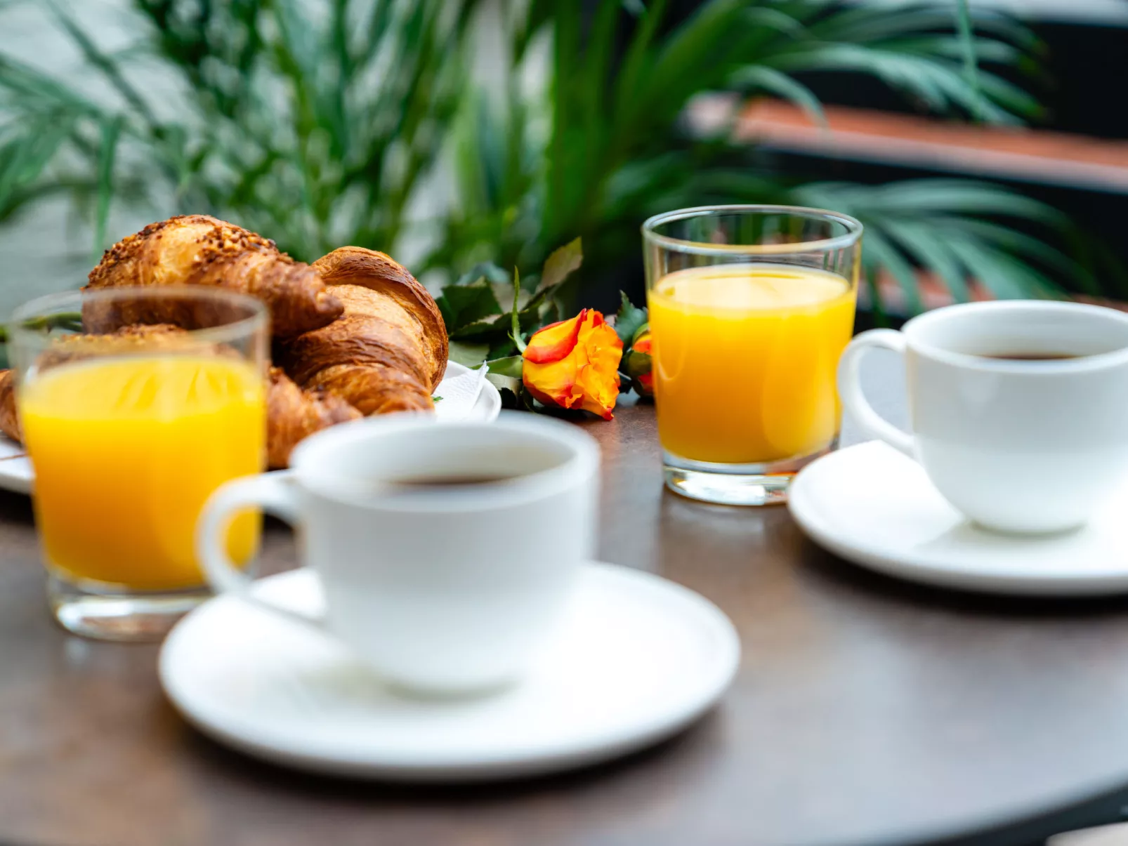 Apartment Lika - Buiten