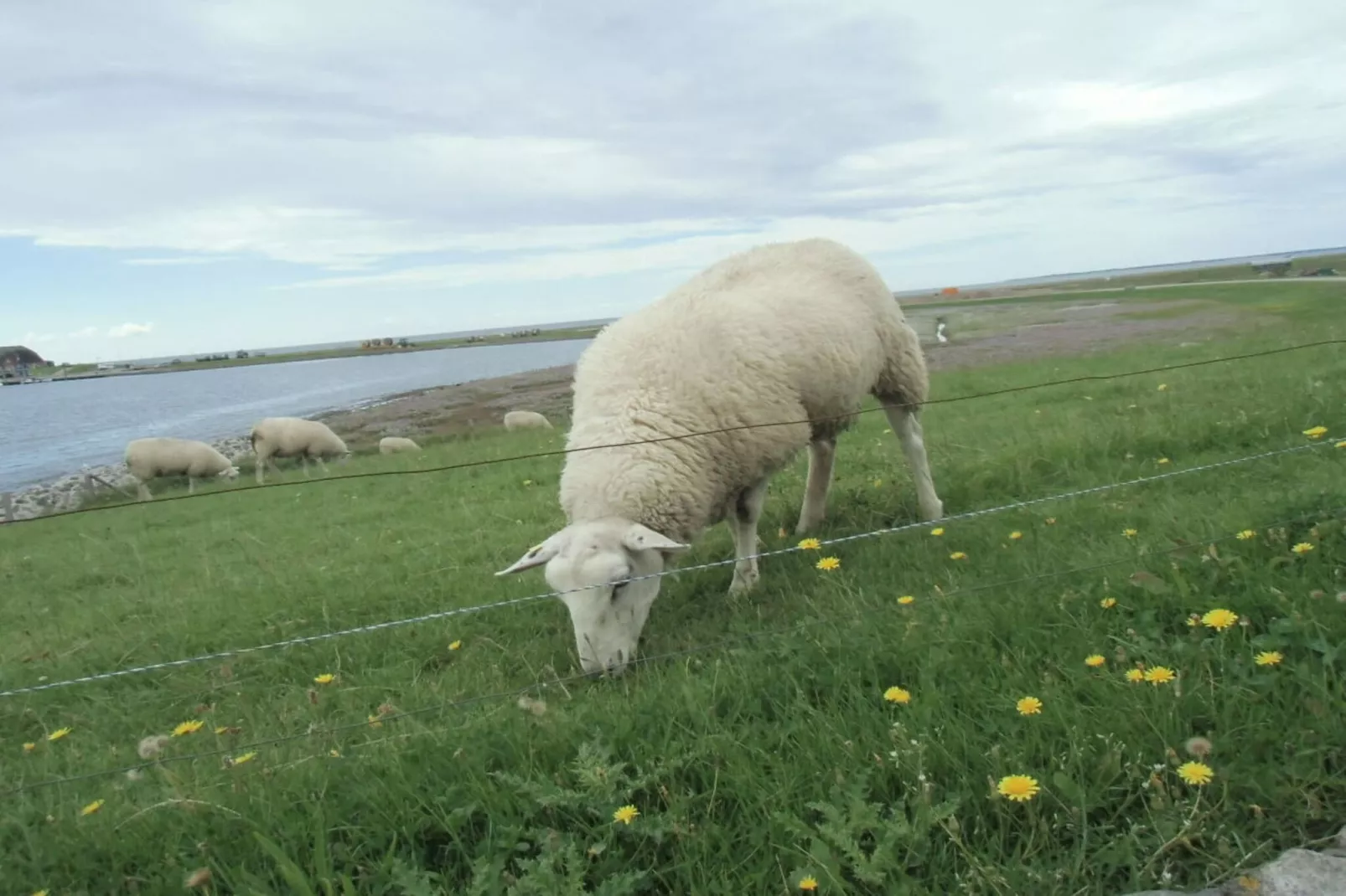 88008 - Image-tags.water view