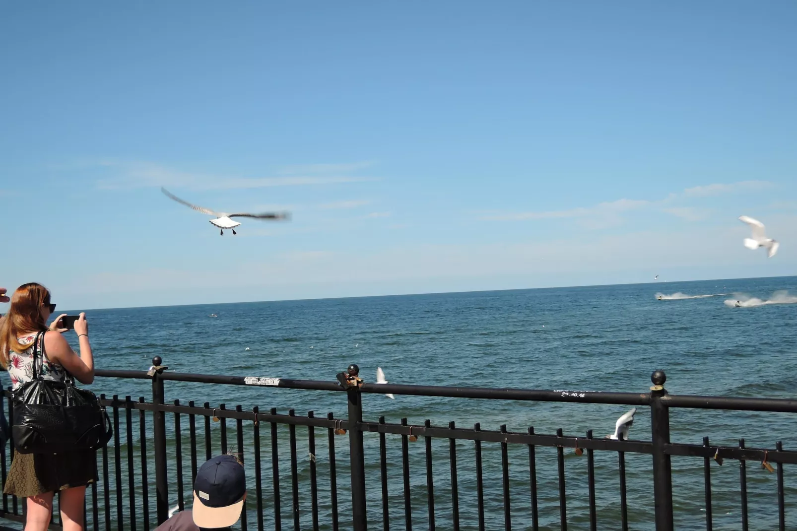 Domki Trebor dla 6 osób - Gebieden zomer 1km