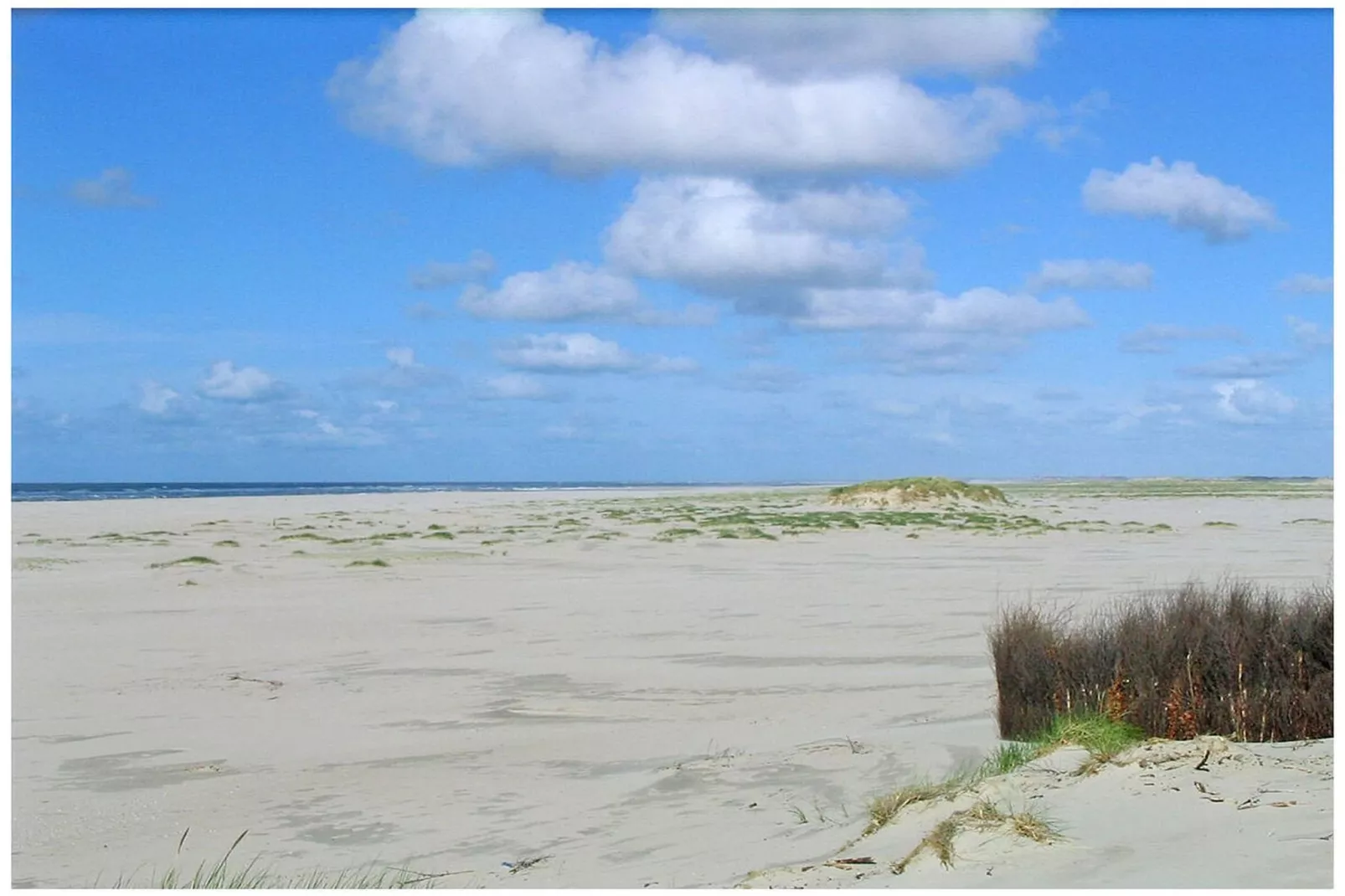 288360-Gebieden zomer 5km