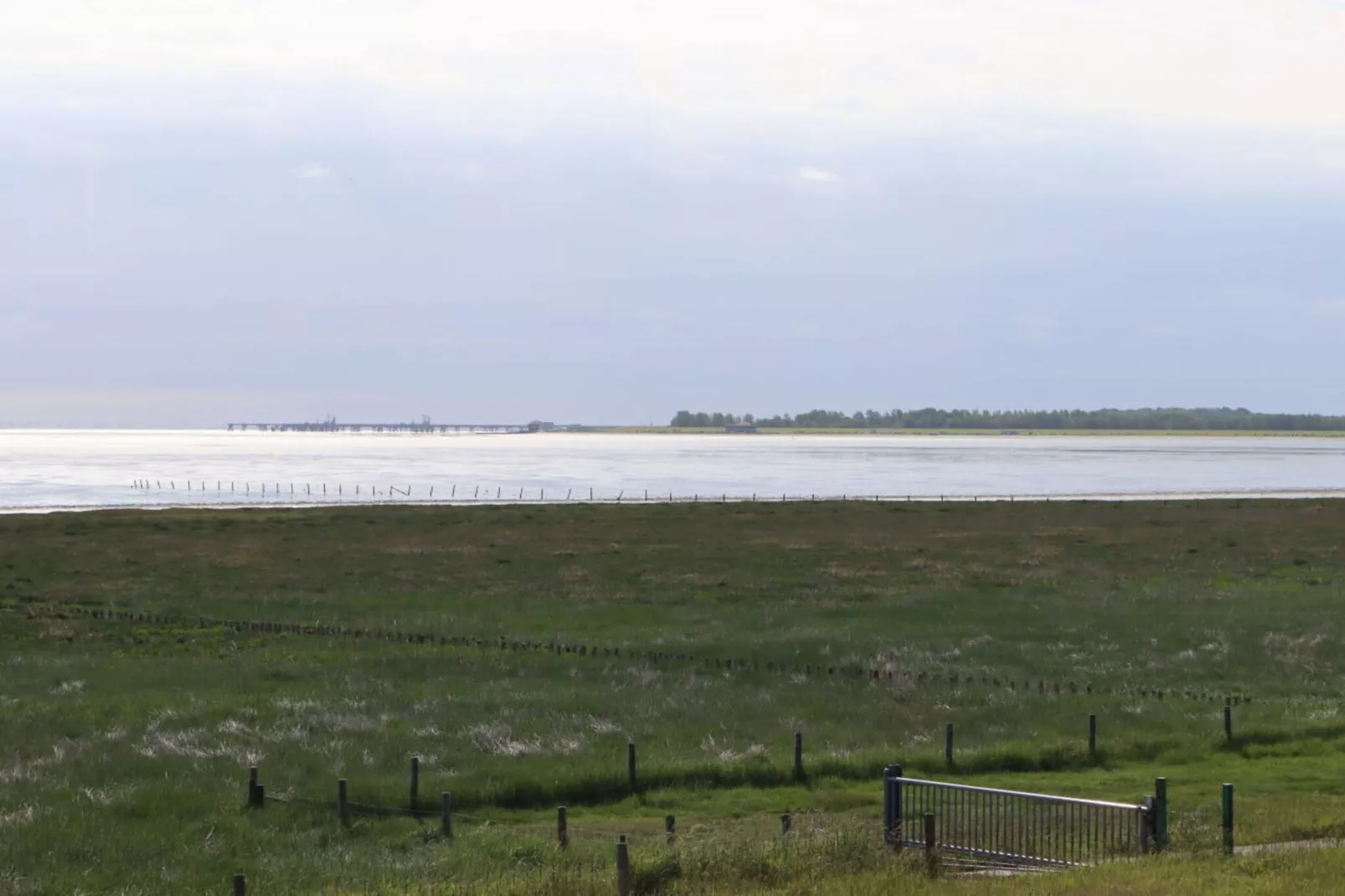 76469-Image-tags.water view