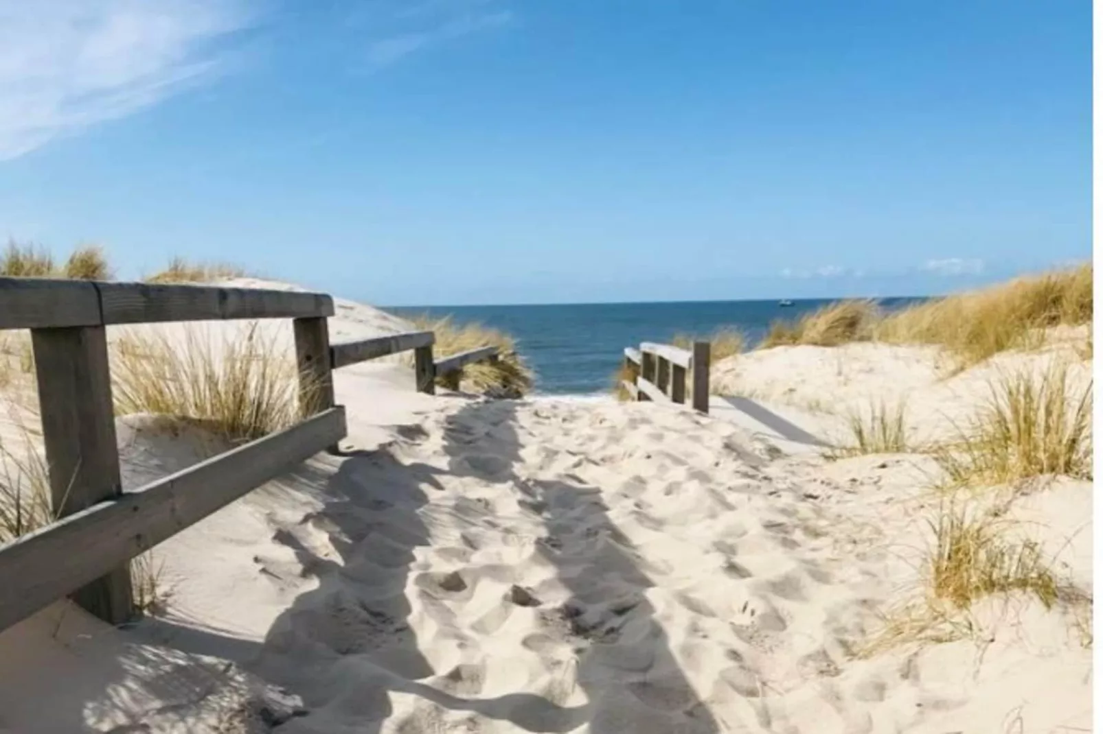 139423-Gebieden zomer 5km