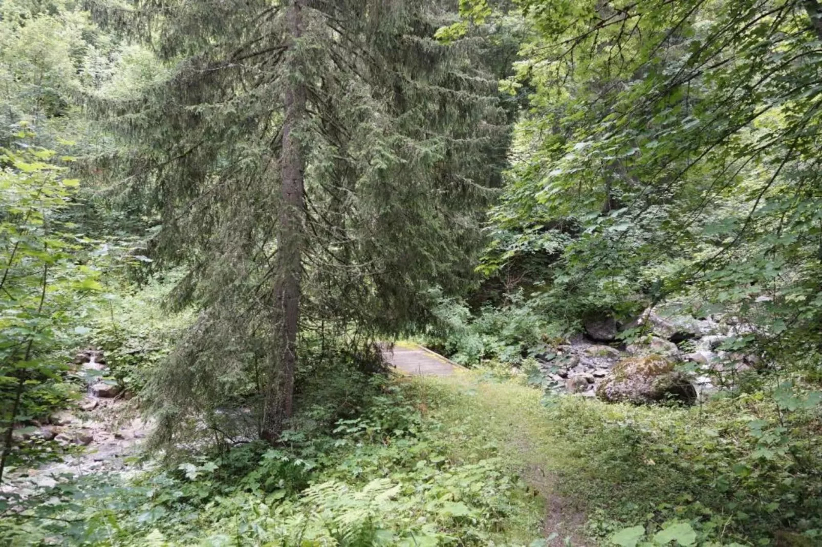 Les Cochettes N°166 - 4P8-Gebieden zomer 20km