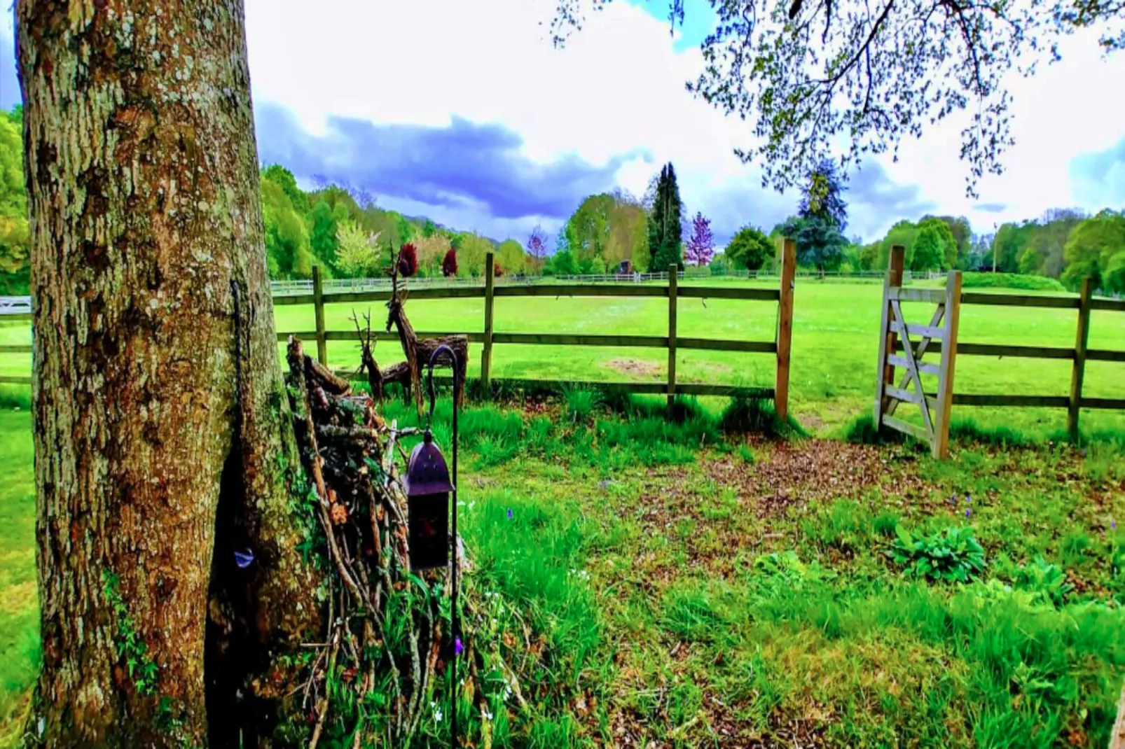 Shepherd's Hut at Hilltop Farm-Buitenlucht