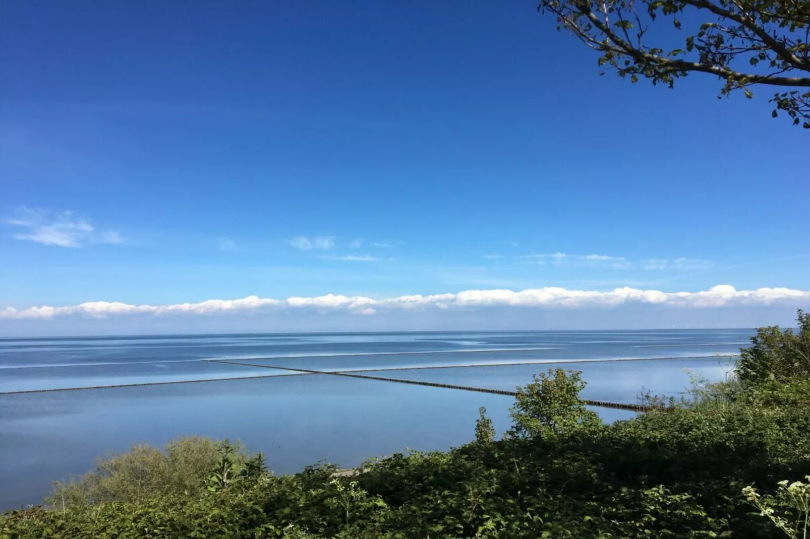 283745-Gebieden zomer 1km