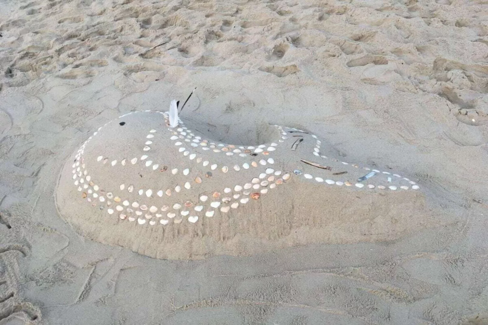 581144 - Gebieden zomer 1km