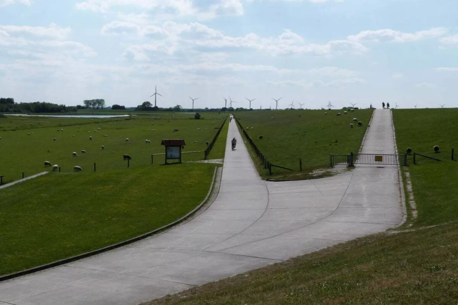 229889 - Gebieden zomer 5km