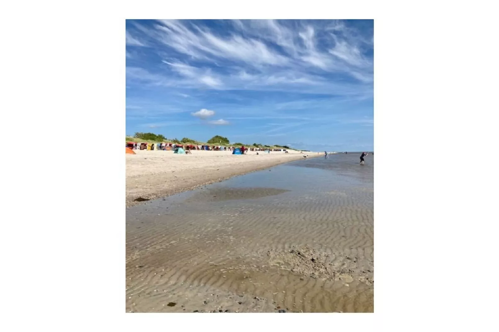 275862-Gebieden zomer 5km