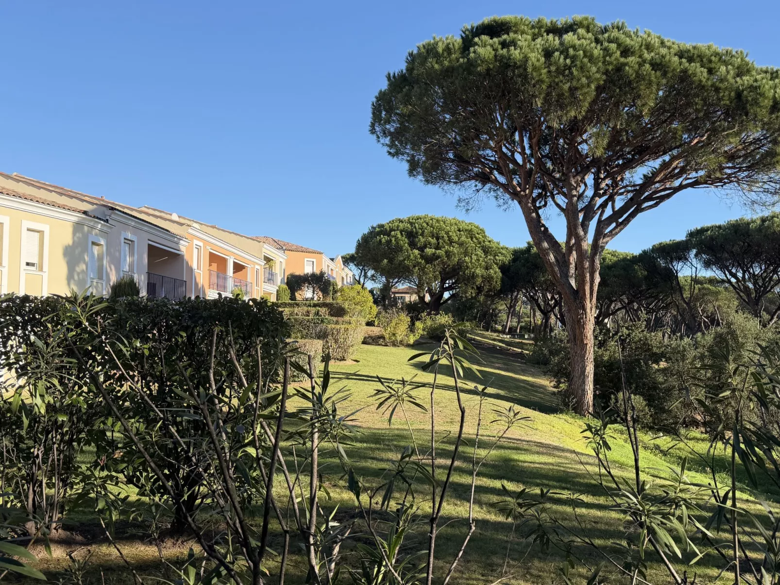 Les Pins Bleus-Buiten