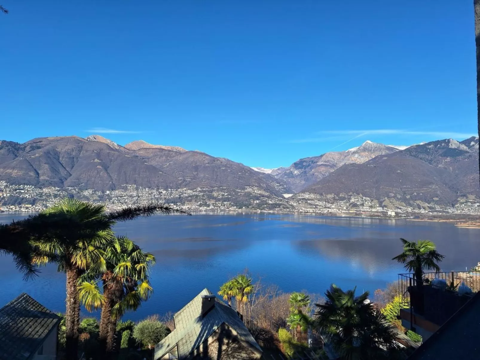 Virabella 8 - Image-tags.info