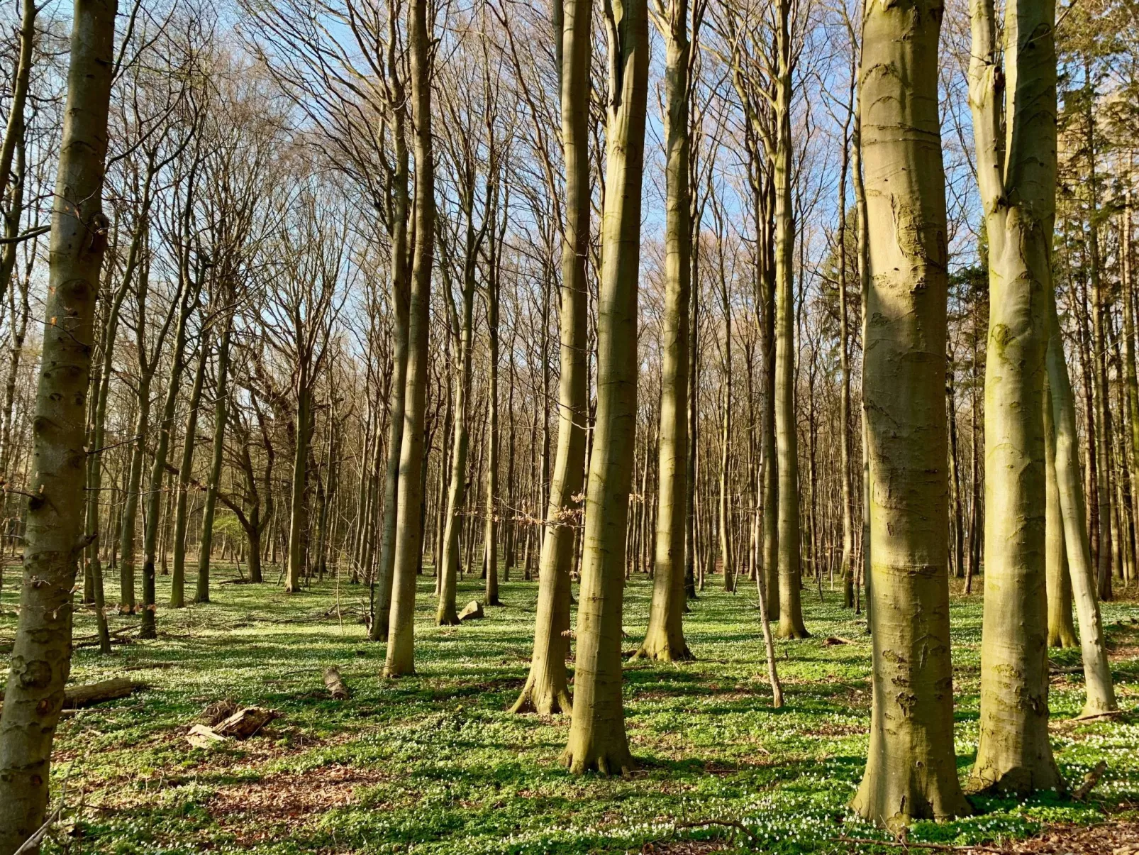 Mit Terrasse - Image-tags.info