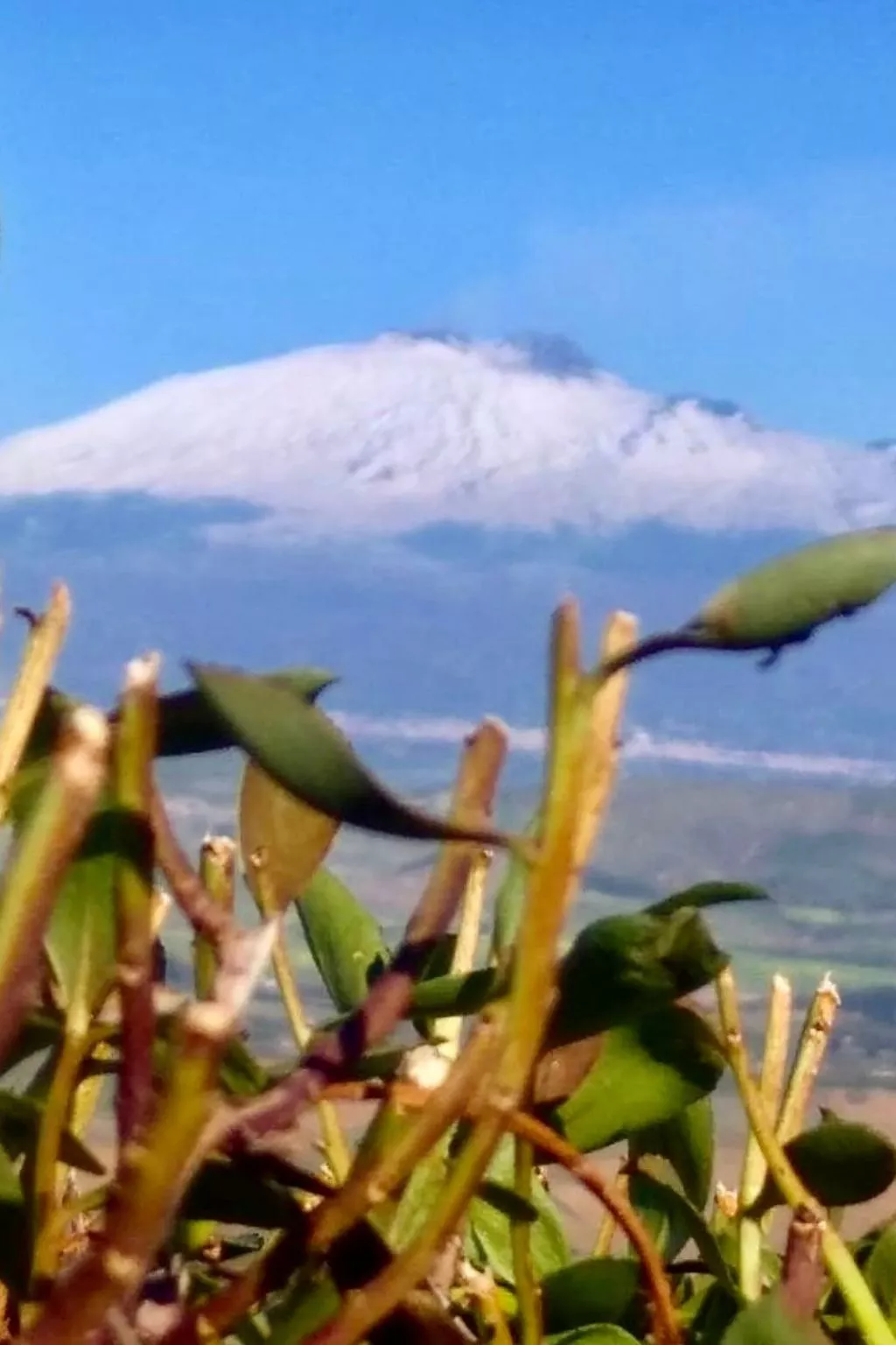 Alley's Haus - Image-tags.info