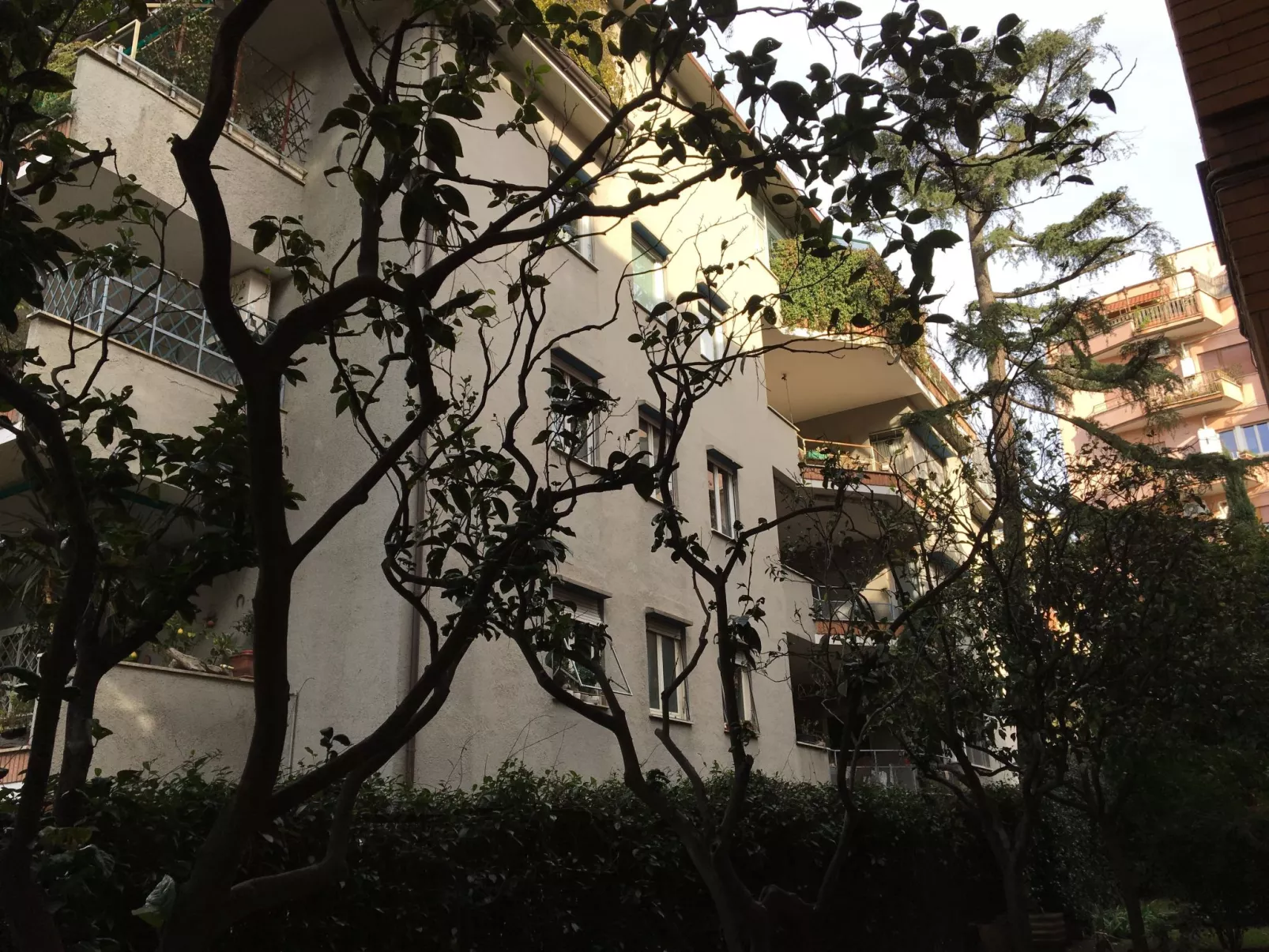 'Metropolitan Oasis - Image-tags.info