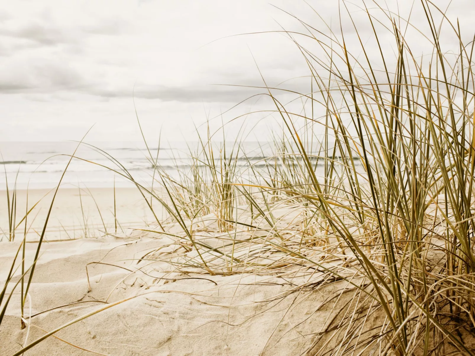 DünenHuuske "InselFreid" mit Sauna auf Spiekeroog - Image-tags.info