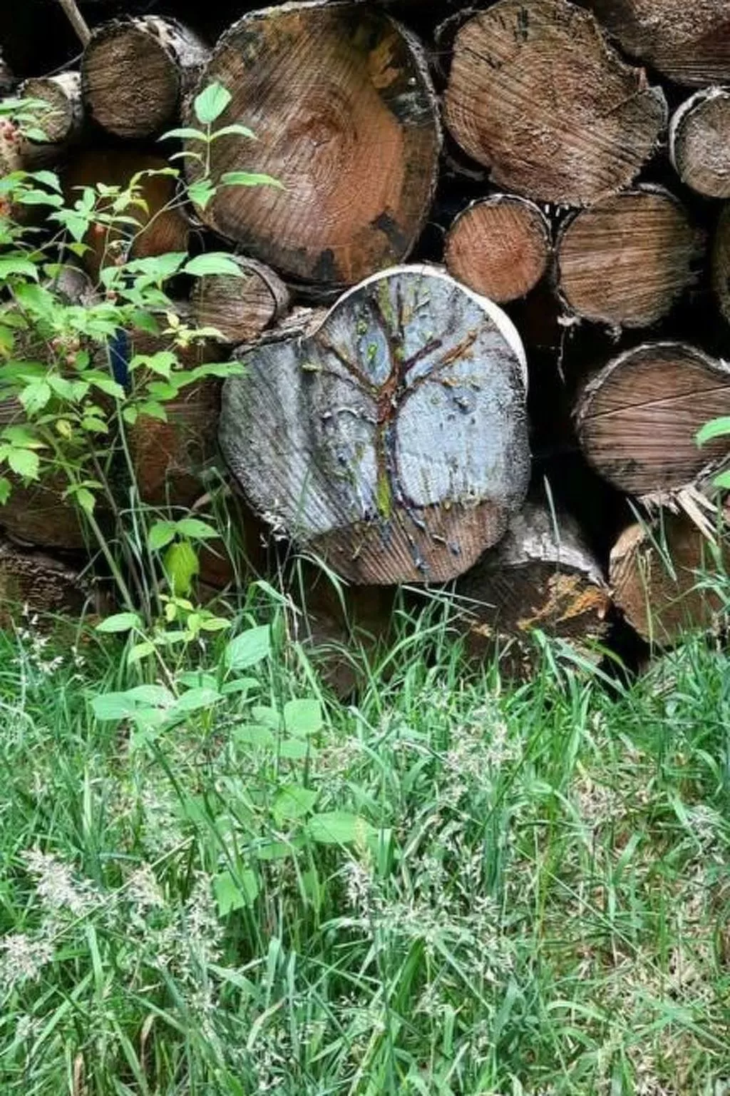 Der Bauerngarten - Image-tags.info