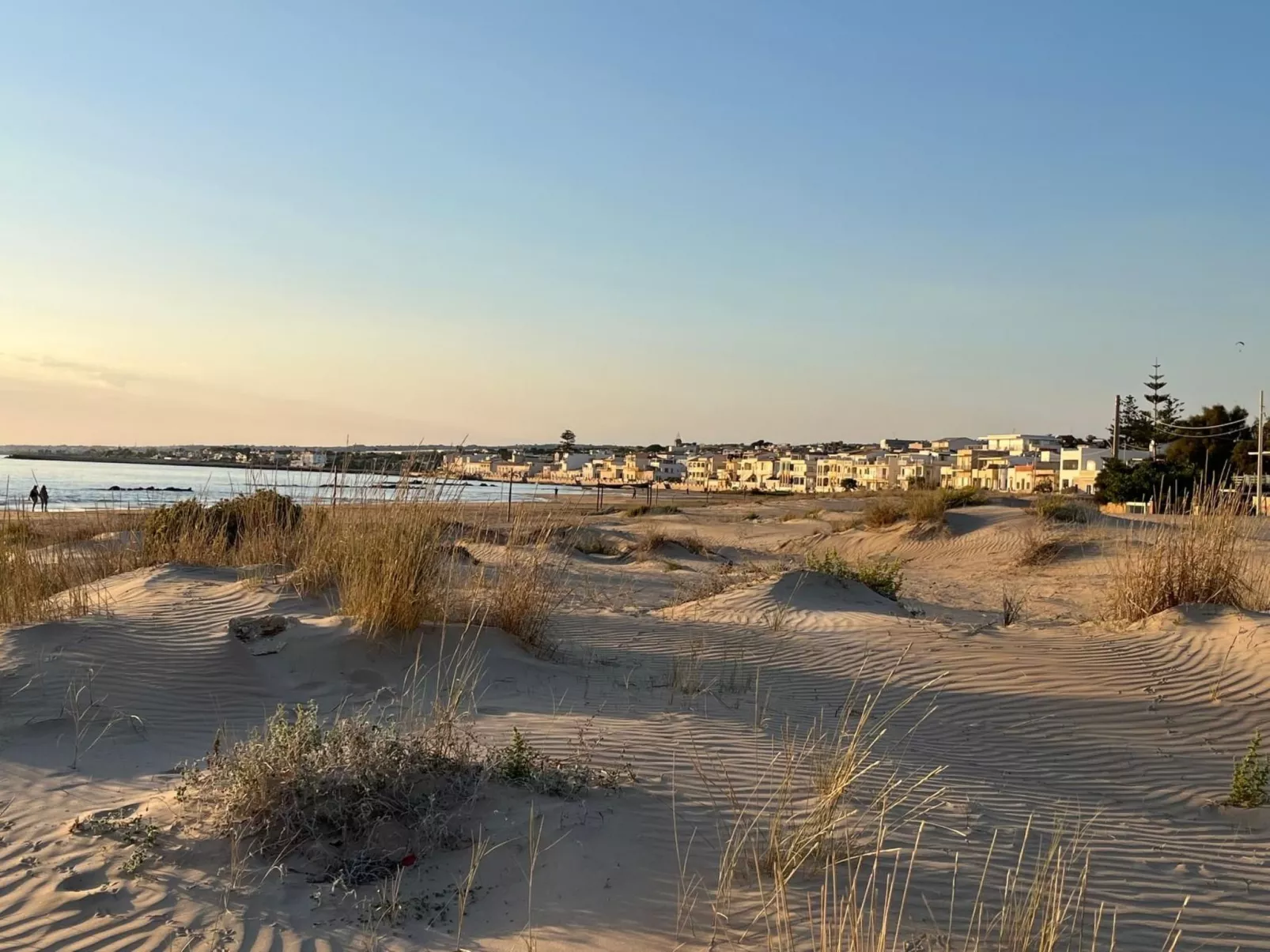 "Il giardino damare" - Image-tags.info