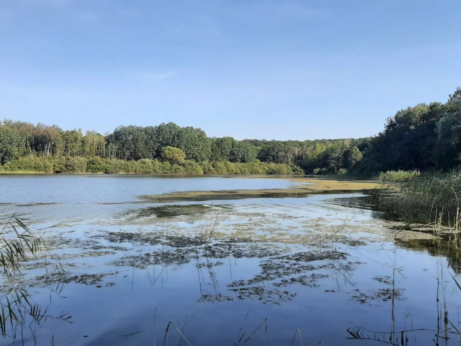 Fachwerkhaus "Charme - Image-tags.info