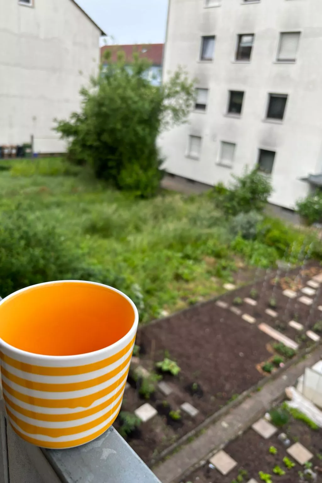 Hive-Homes-Image-tags.info